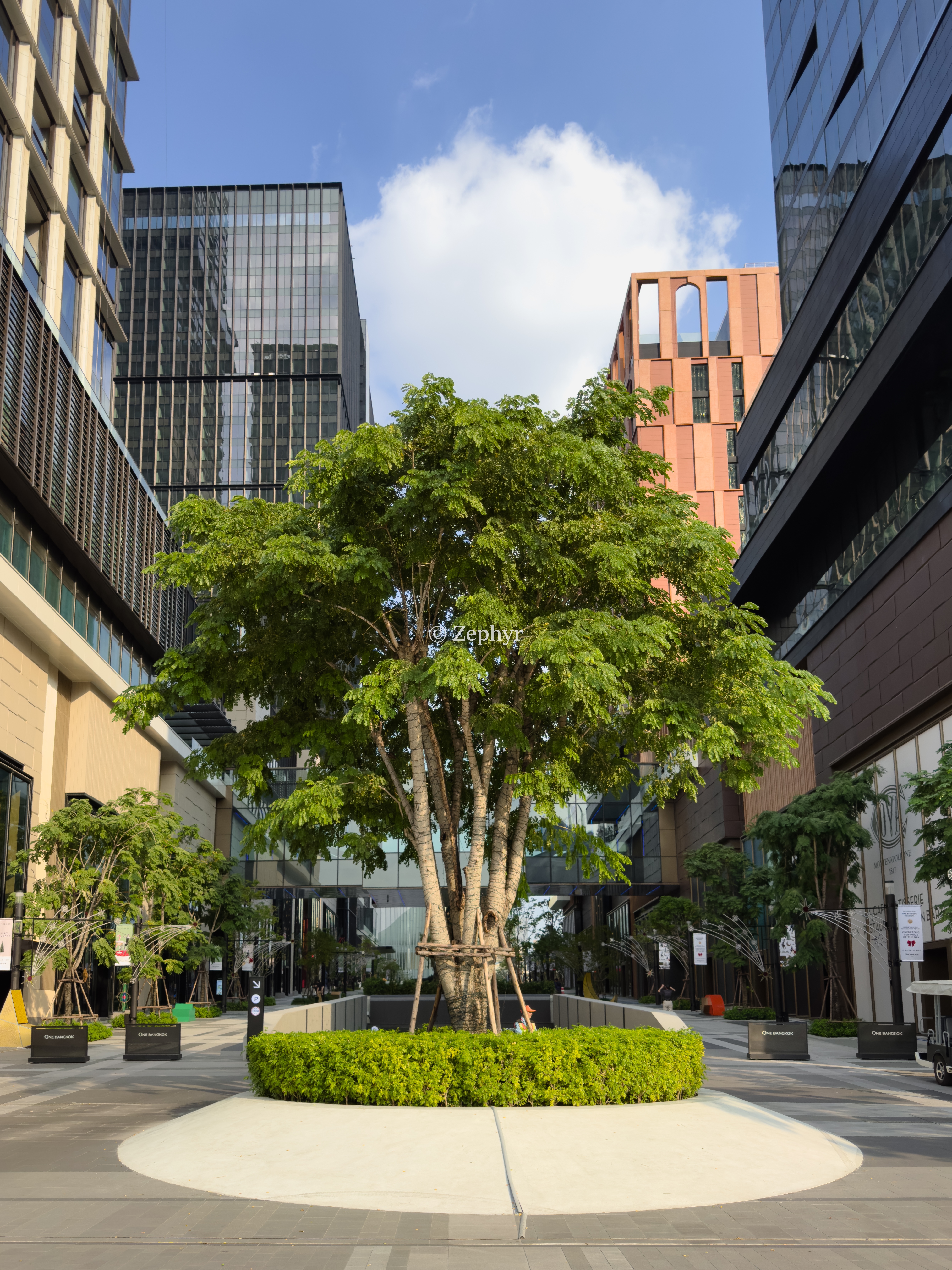 ҵ˼پƵ ֿͷȡ The Ritz-Carlton, Bangkok