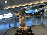 <em>AA</em>4443 DCA-JFK ʢɵŦԼ