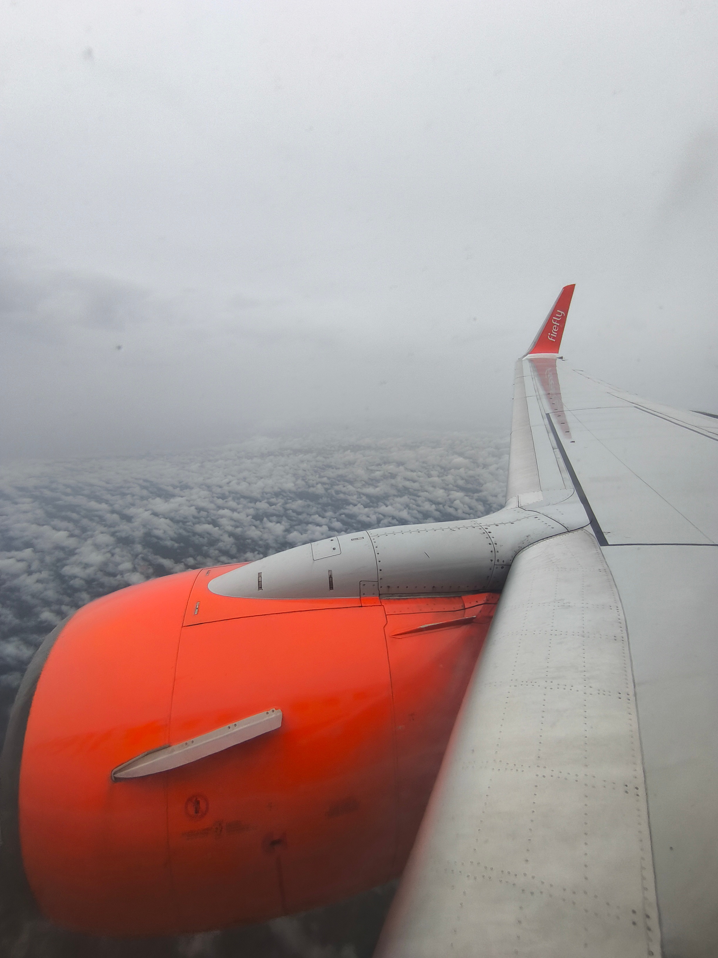 ;ߣ¡ʻ-ө Firefly FY2871 PEN-SZB 737-800