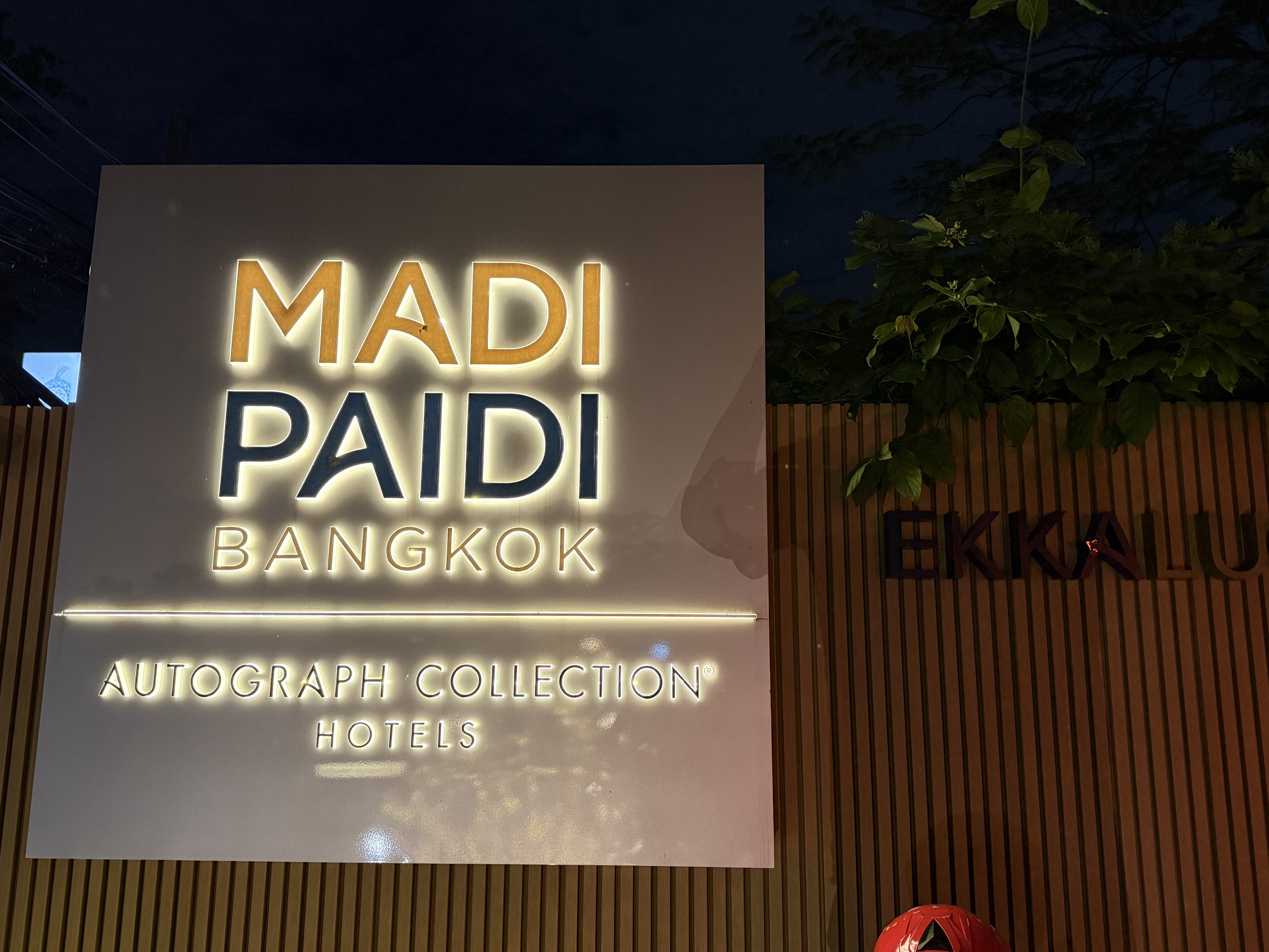 ܰʵɵϰ;Madi Paidiɫ׷ʲ