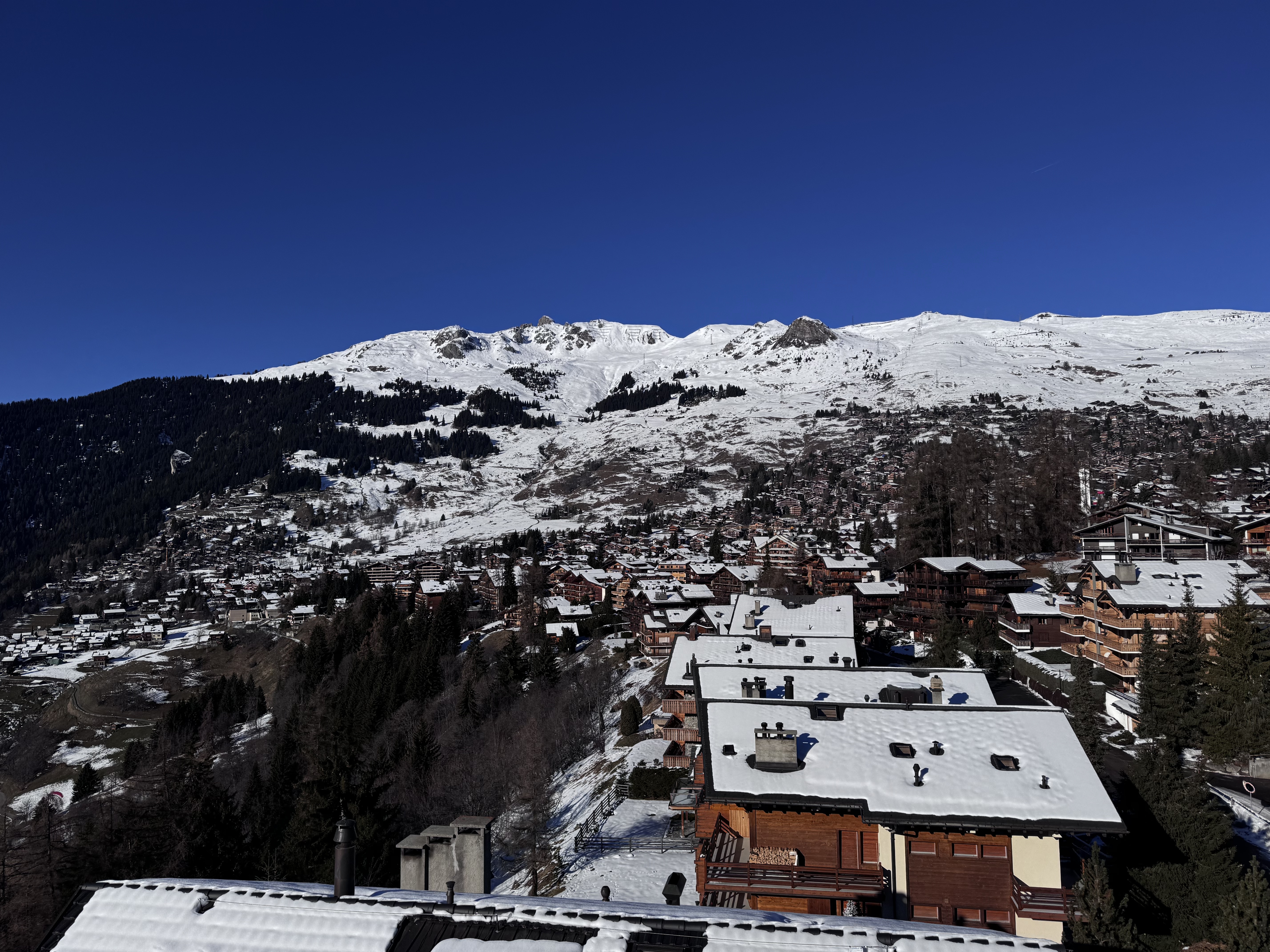 ׯĻѩ顪 verbier w