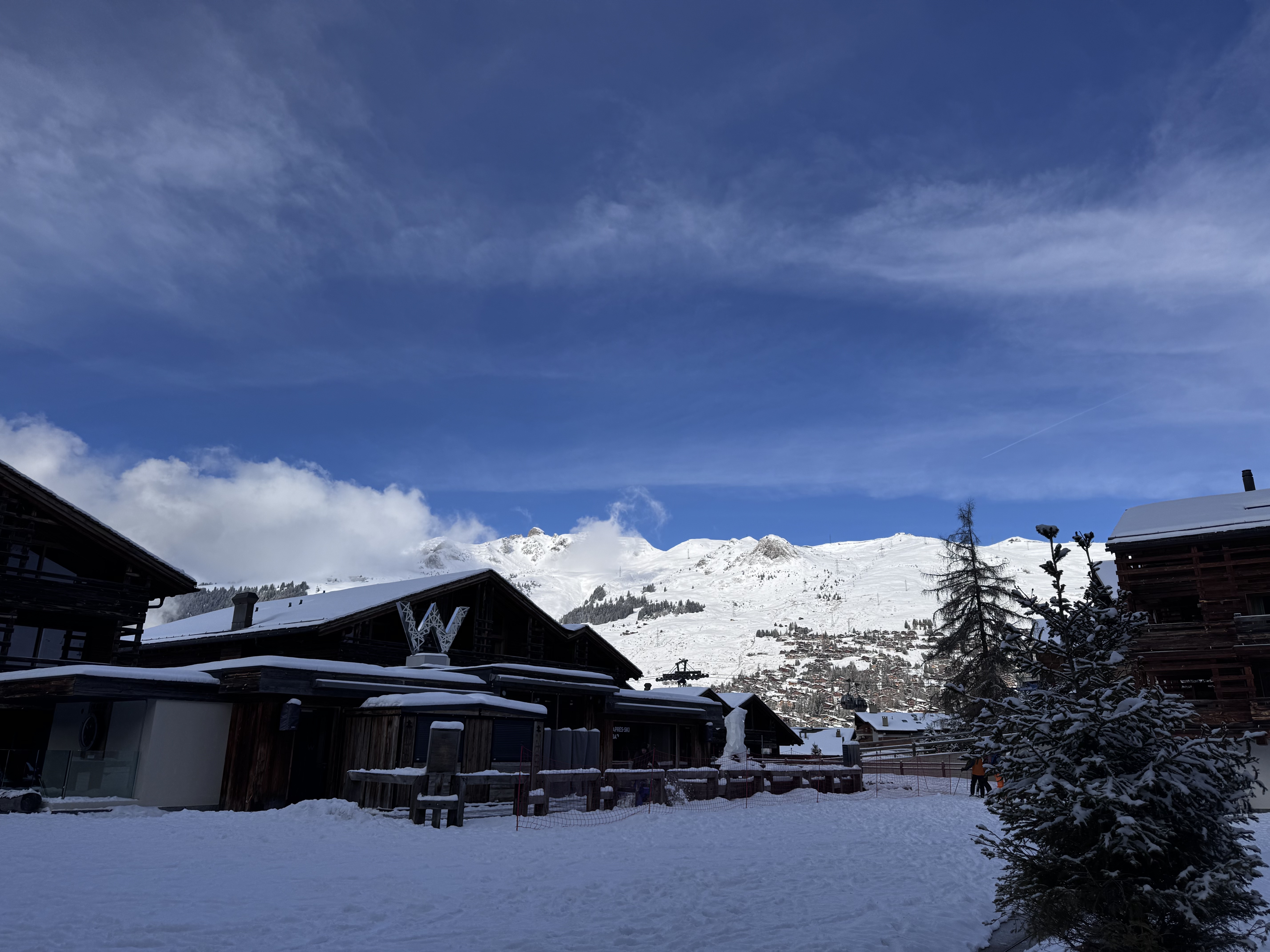 ׯĻѩ顪 verbier w