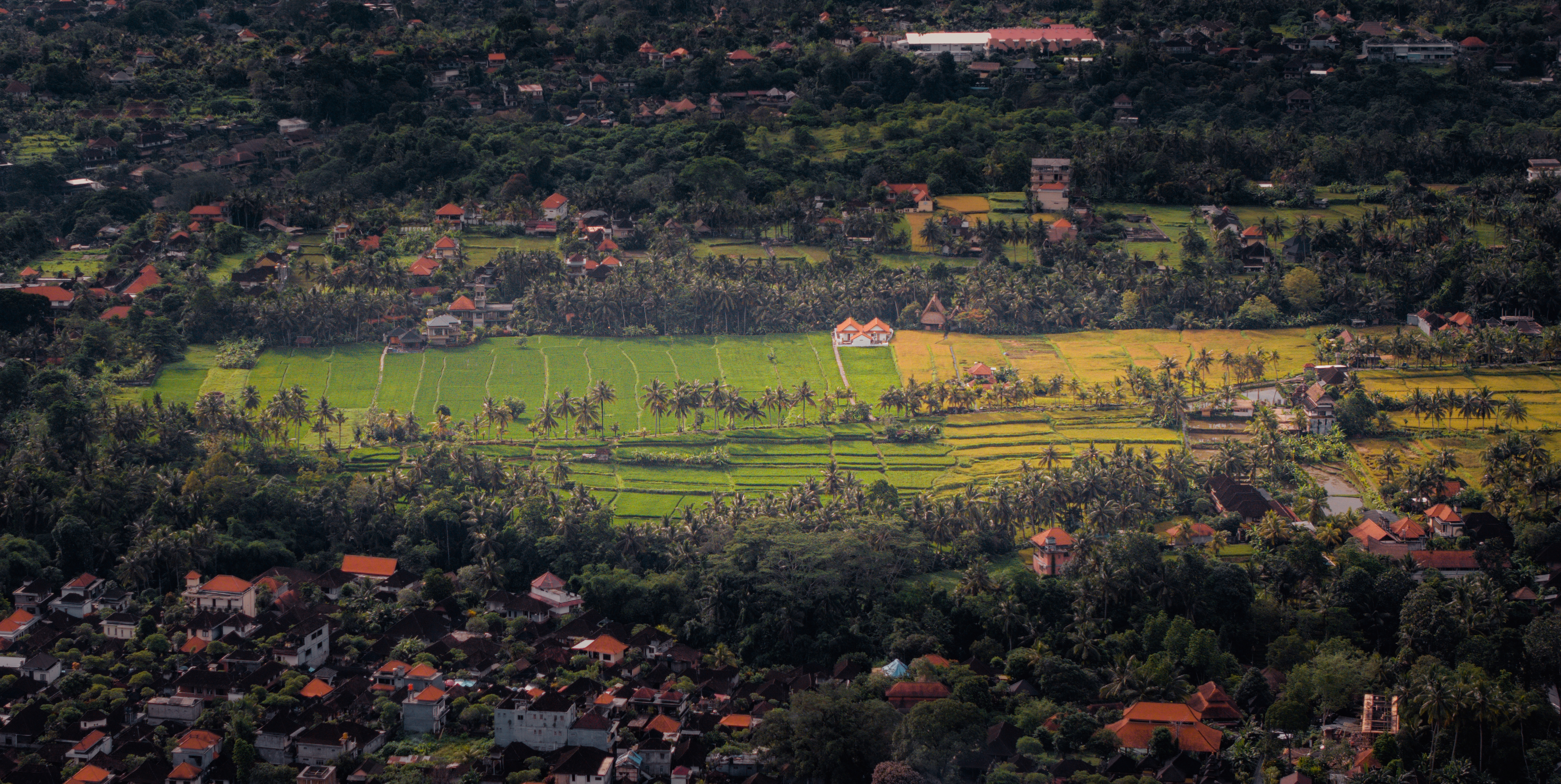 ڲһֱ 嵺ڲԴ˹͡Element by Westin Ubudﶥ״