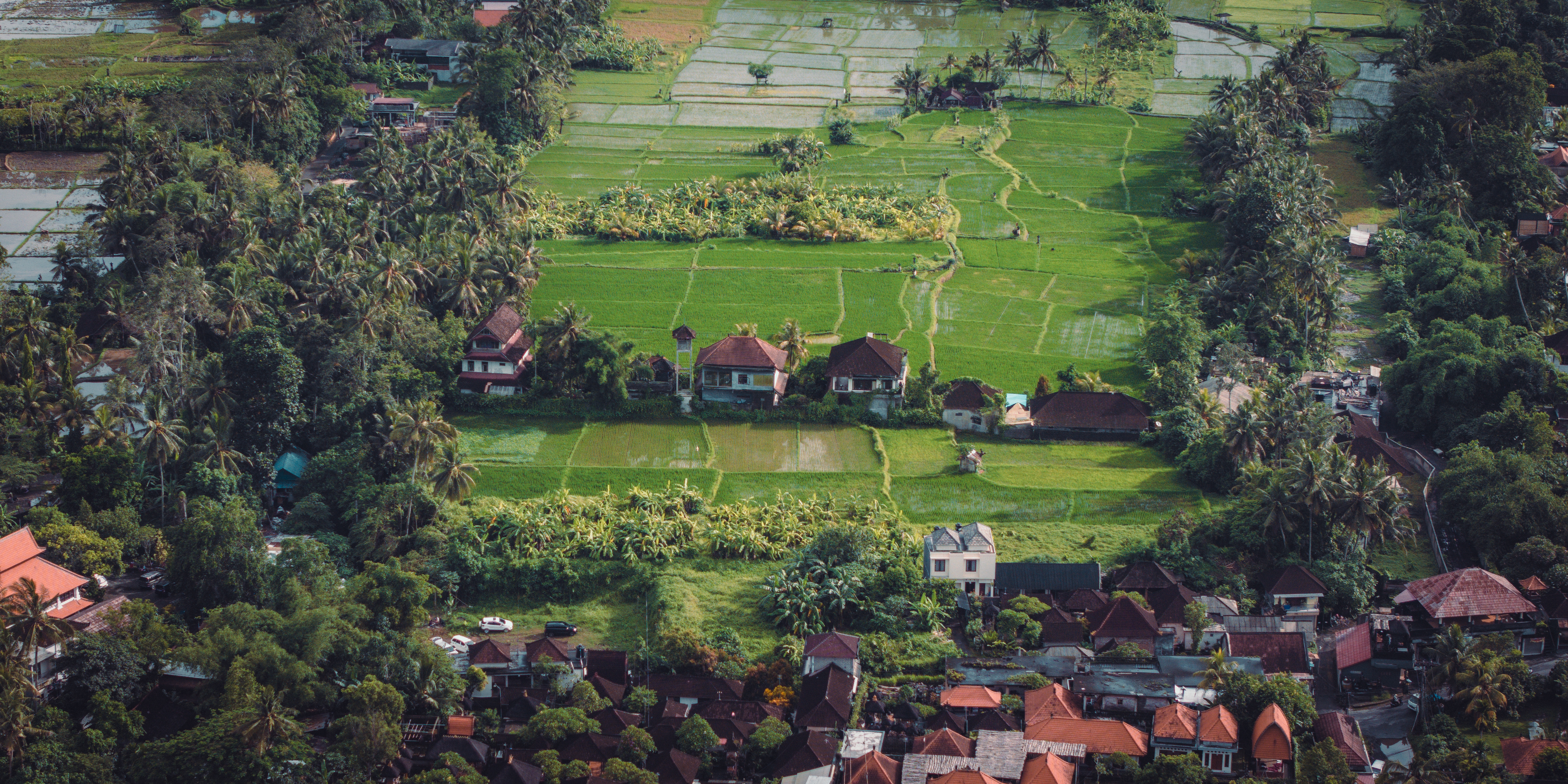 ڲһֱ 嵺ڲԴ˹͡Element by Westin Ubudﶥ״