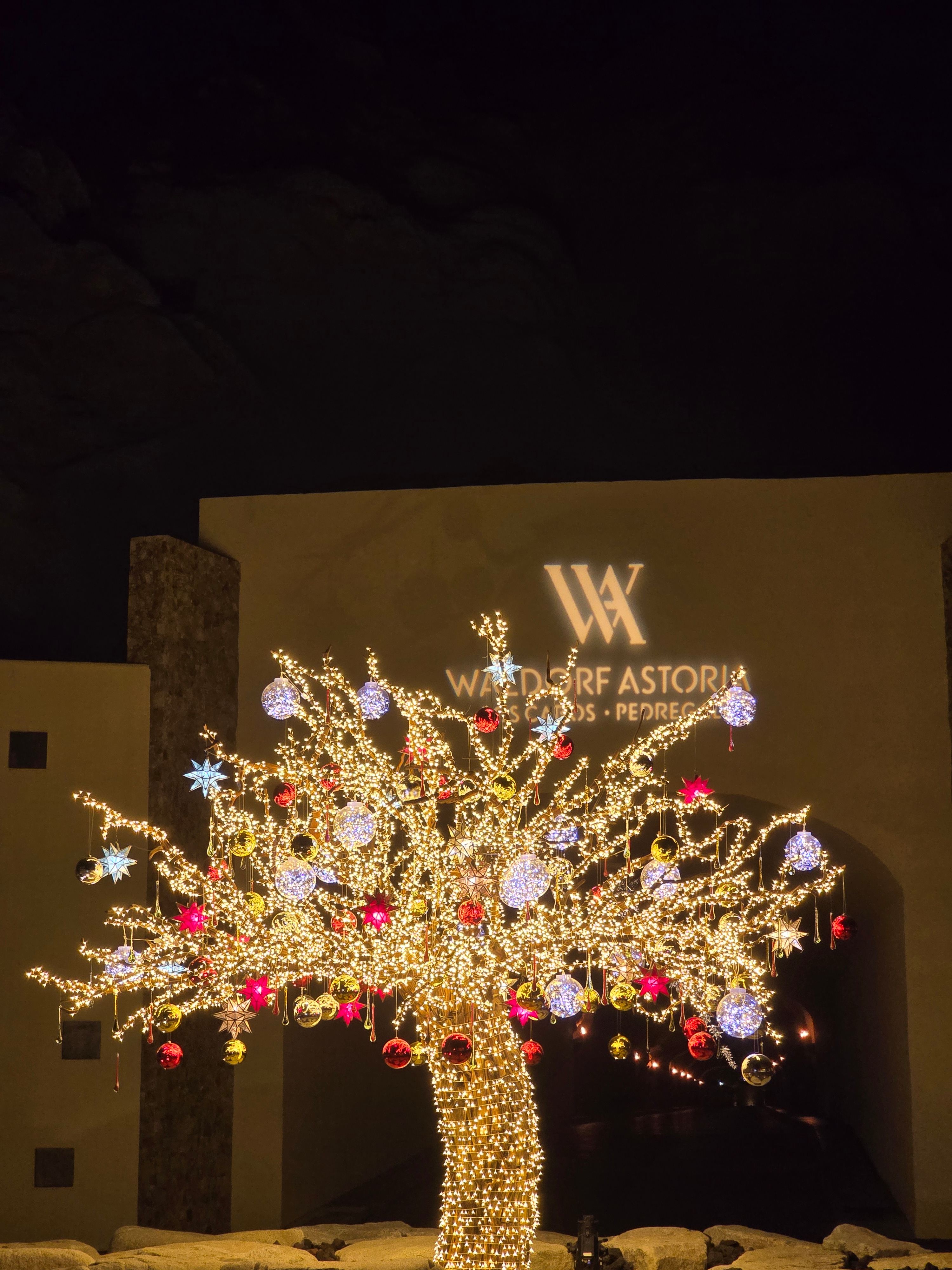 ʥ֮ Waldorf Astoria Los Cabos Pedregal