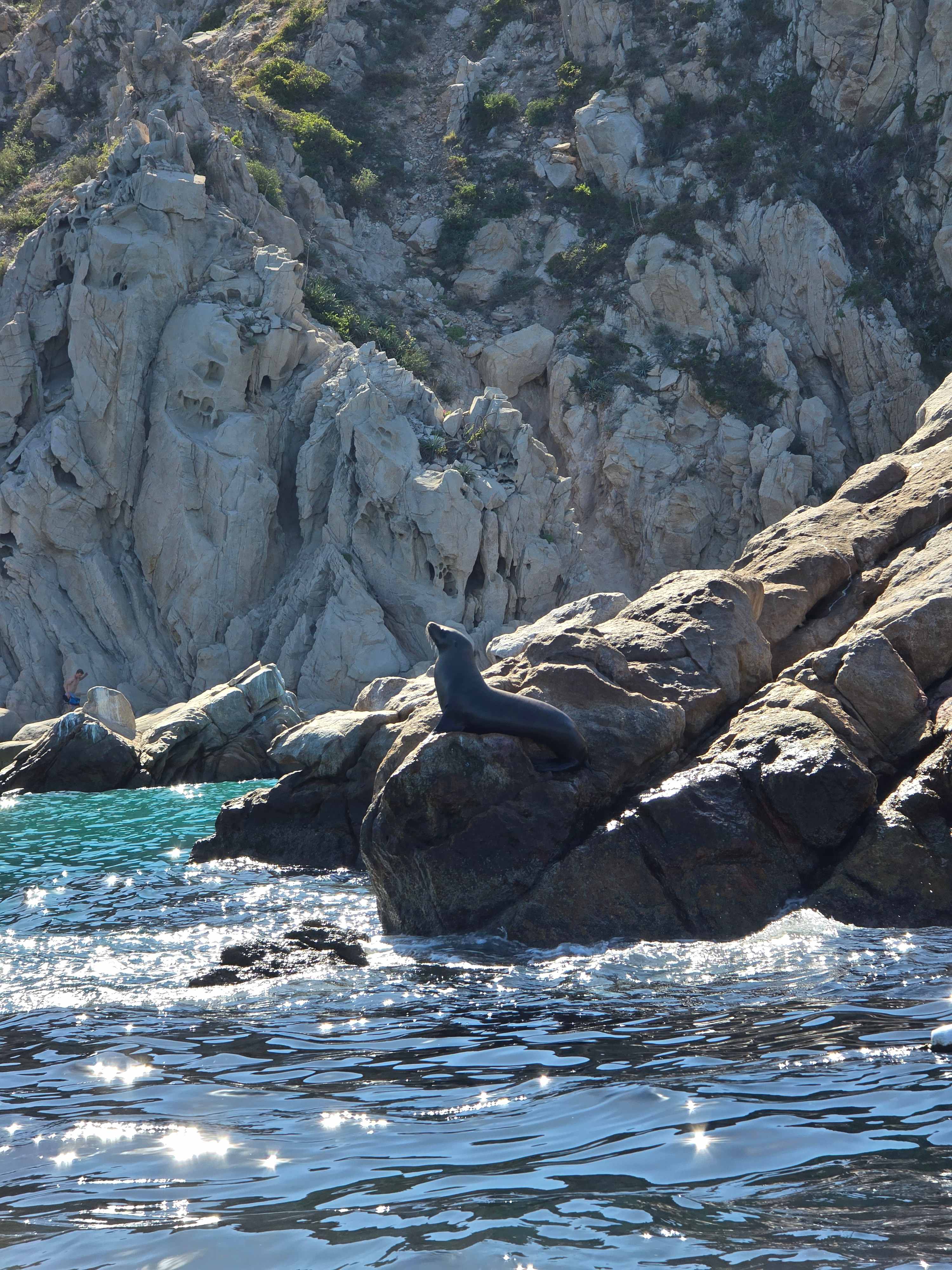 ʥ֮ Waldorf Astoria Los Cabos Pedregal