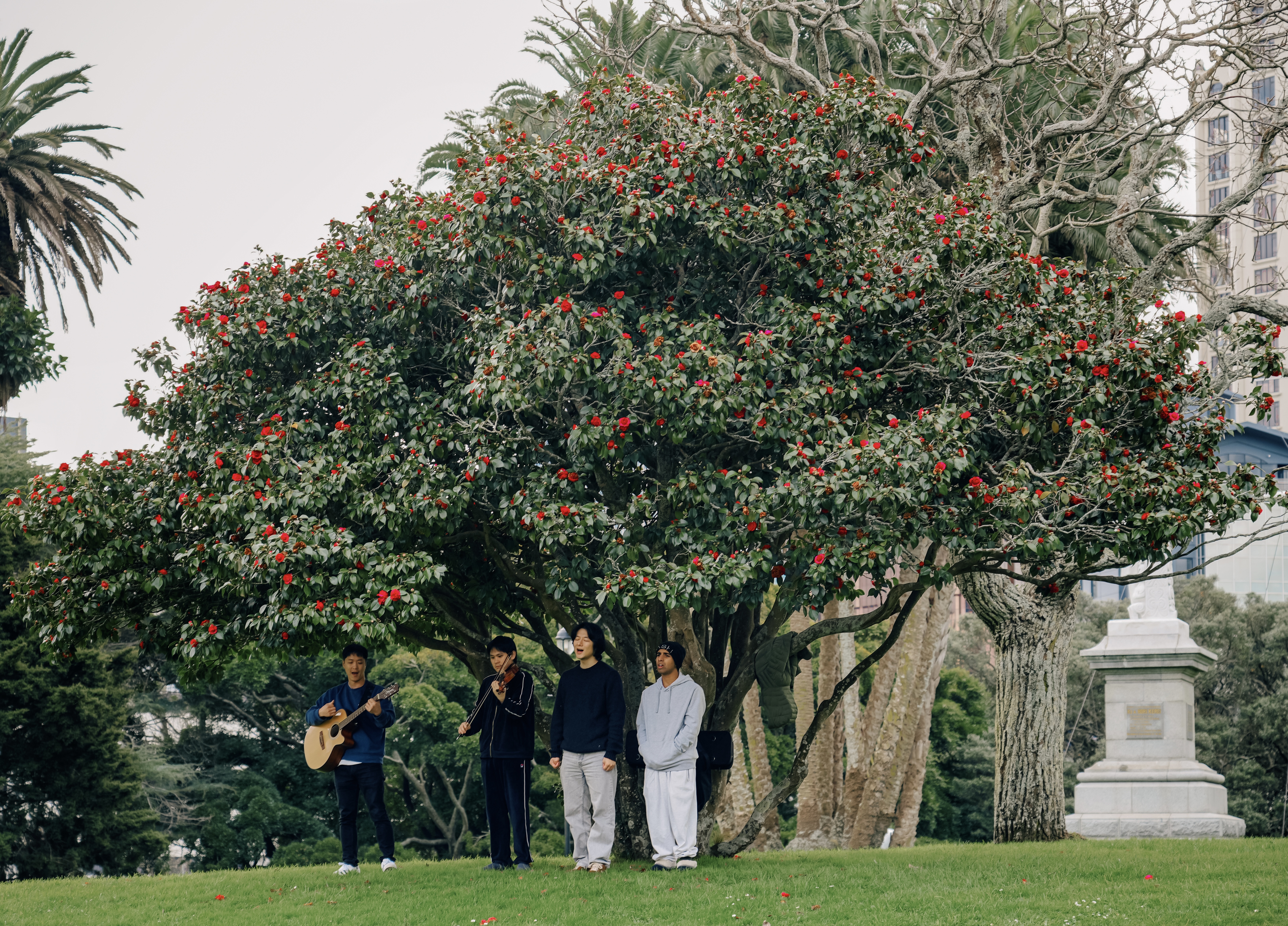 ¿Park Hyatt Auckland ǧ֮ ׷