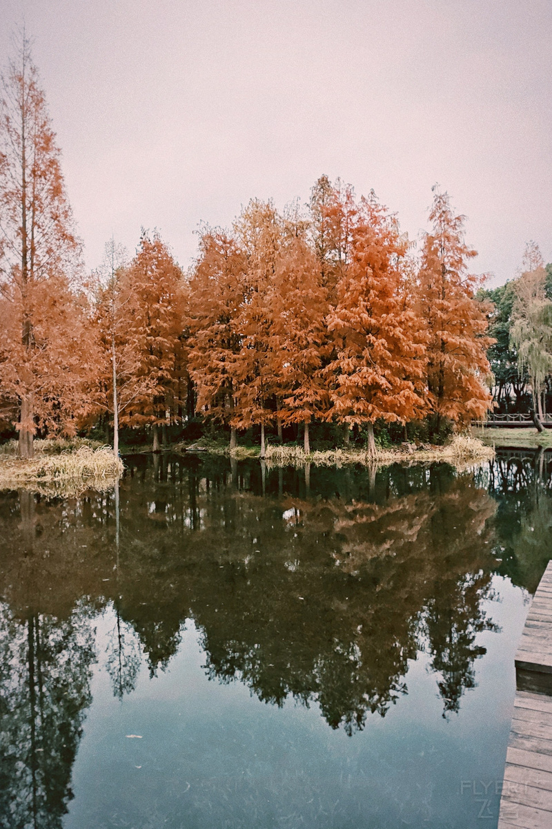 152119shYfWMwdU2uFKUws.jpg