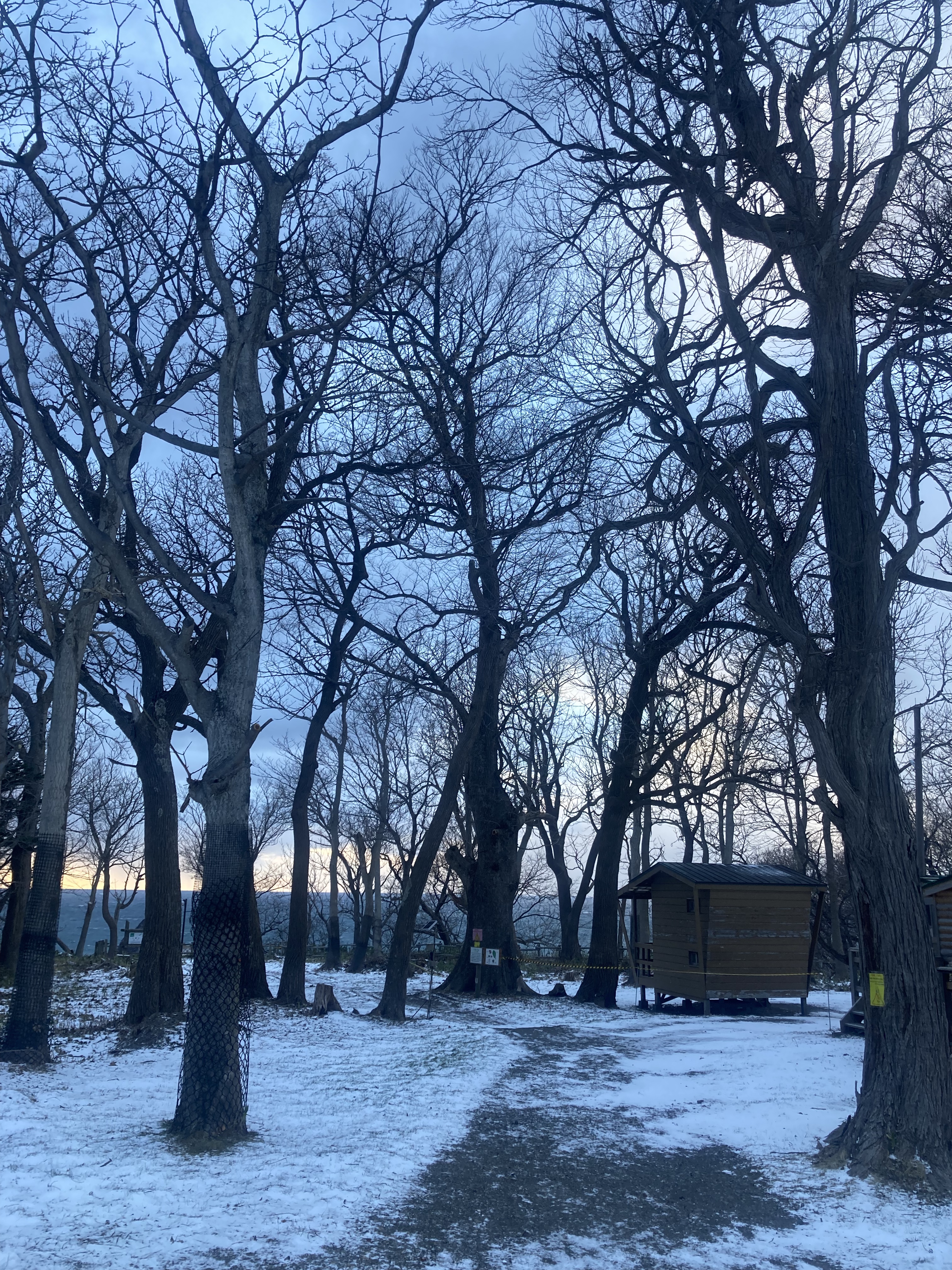 ֪-ľƵ