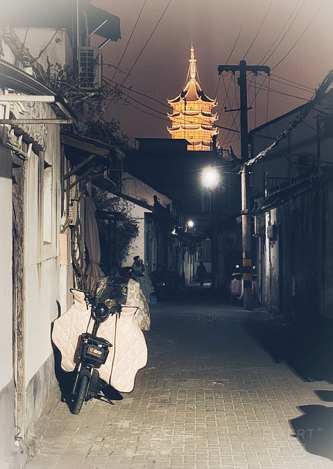 《161F》苏州·丽思 】 投石路问 服务漫漫 山塘远哼 苏式烂漫/2025.10/@TEMO/#细节待完善
