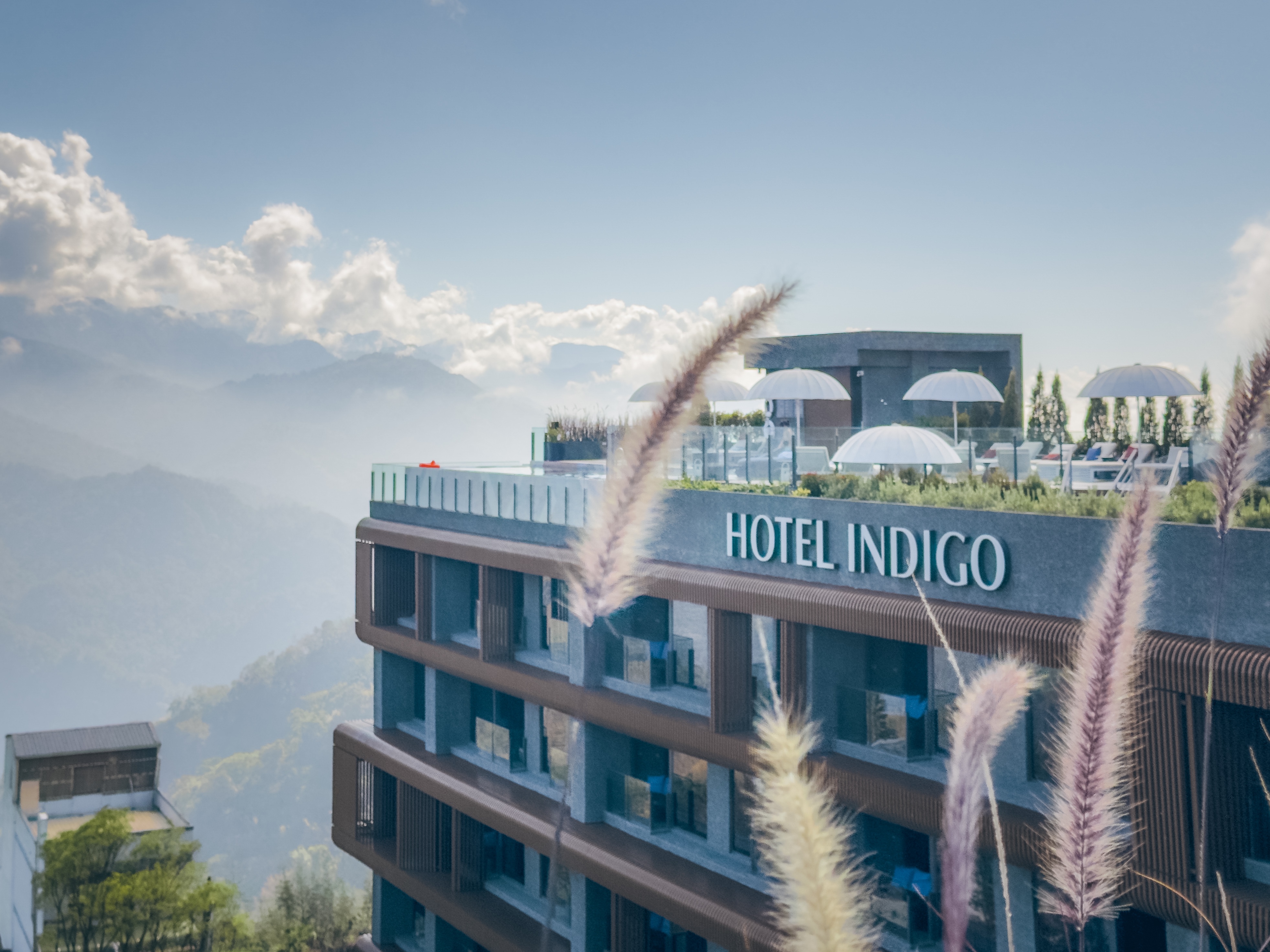 ׷̨尢ɽӢϸ  㲻һƺճ Hotel Indigo Alishan Taiwan