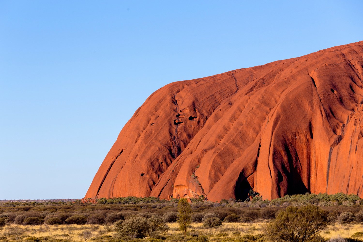 Ĵǣ˹ң³³The Lost Camel Resort   ʵ³³