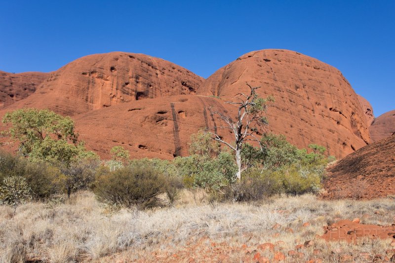 Ayers Rock--Uluru-Kata Tjuta National Park--Valley of the Winds (20).jpg