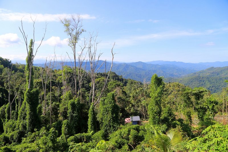 Kota Kinabalu--神山国家公园