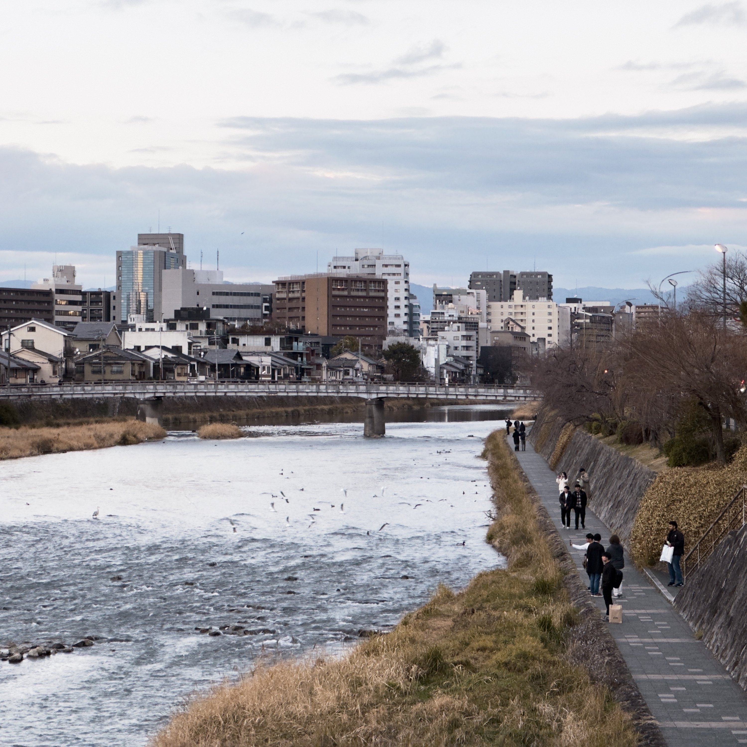 þƵHyatt Regency Kyoto Լ۱ȵѡ [ͥԺ۷/]