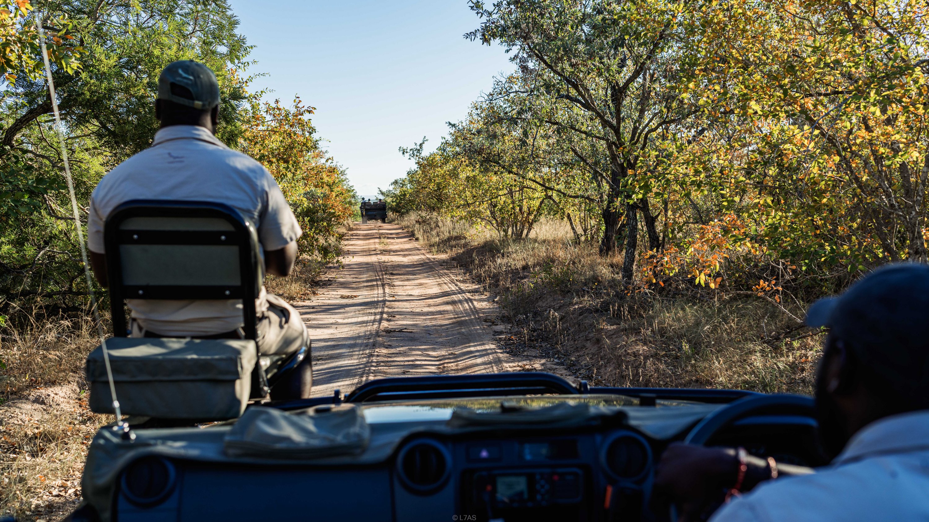 Ϸ ³ҹ԰ | andBeyond Ngala Safari Lodge | ס