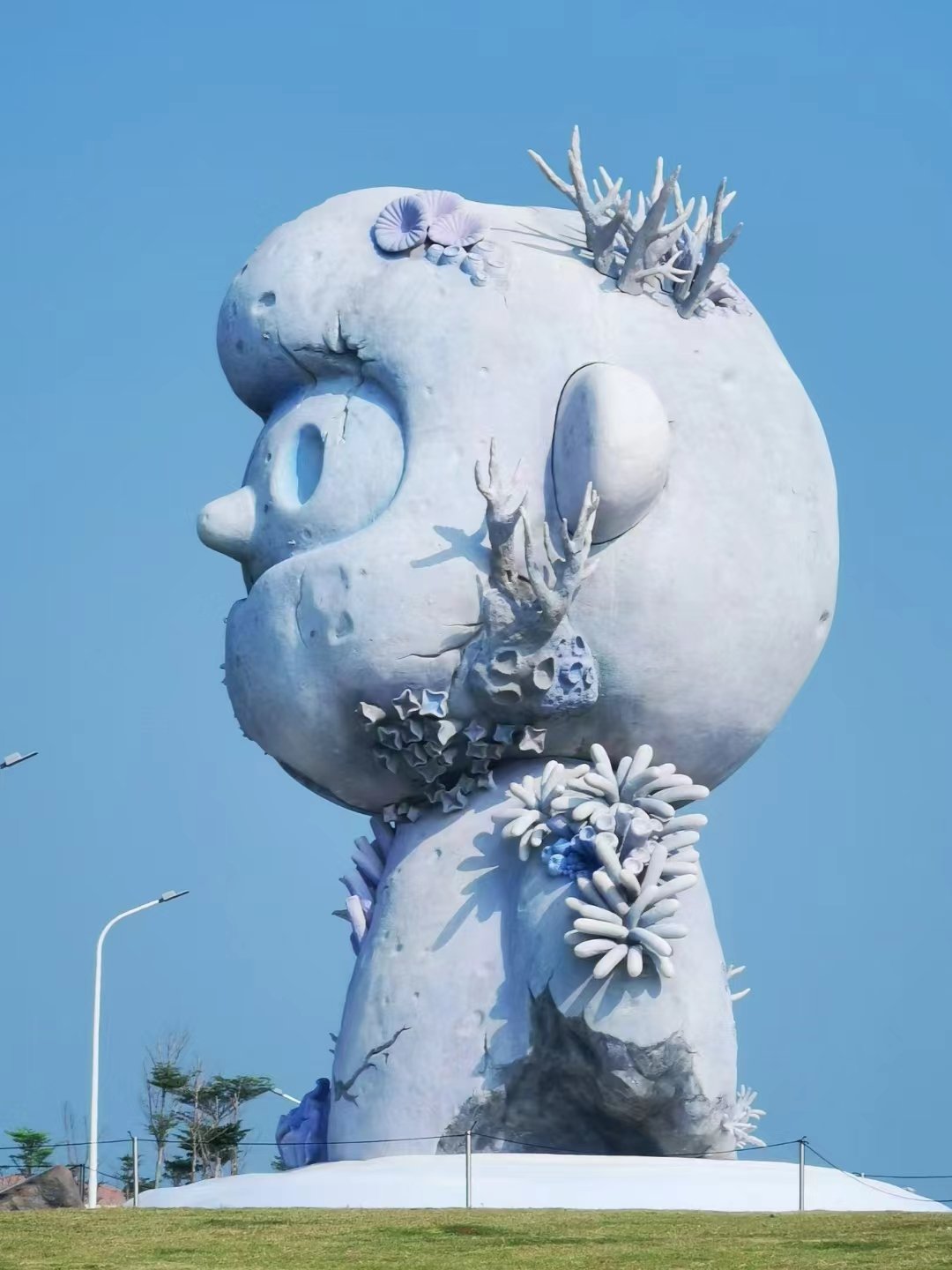 ڻ޼