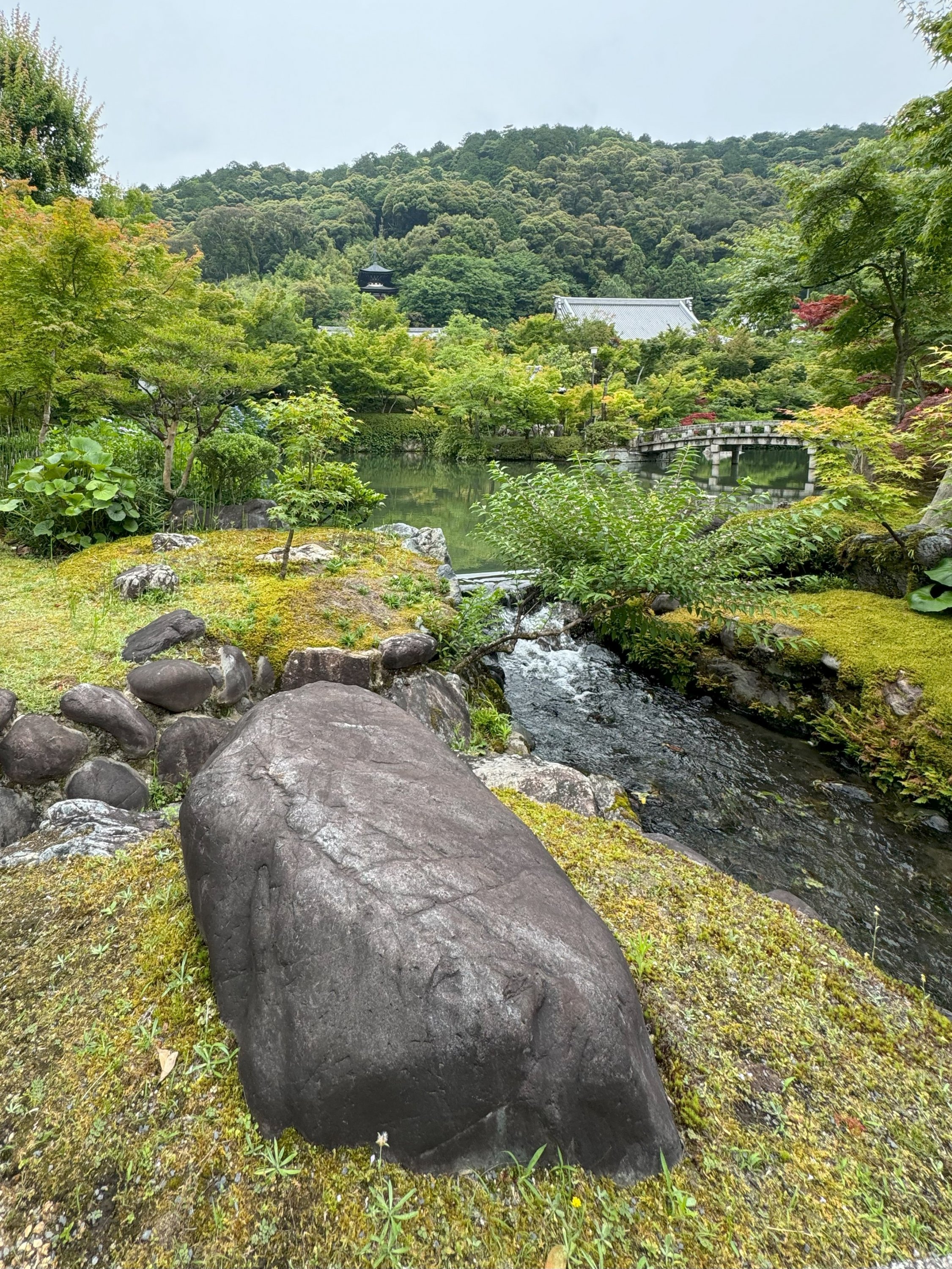 ձƵס֮ Ritz Carlton Kyoto