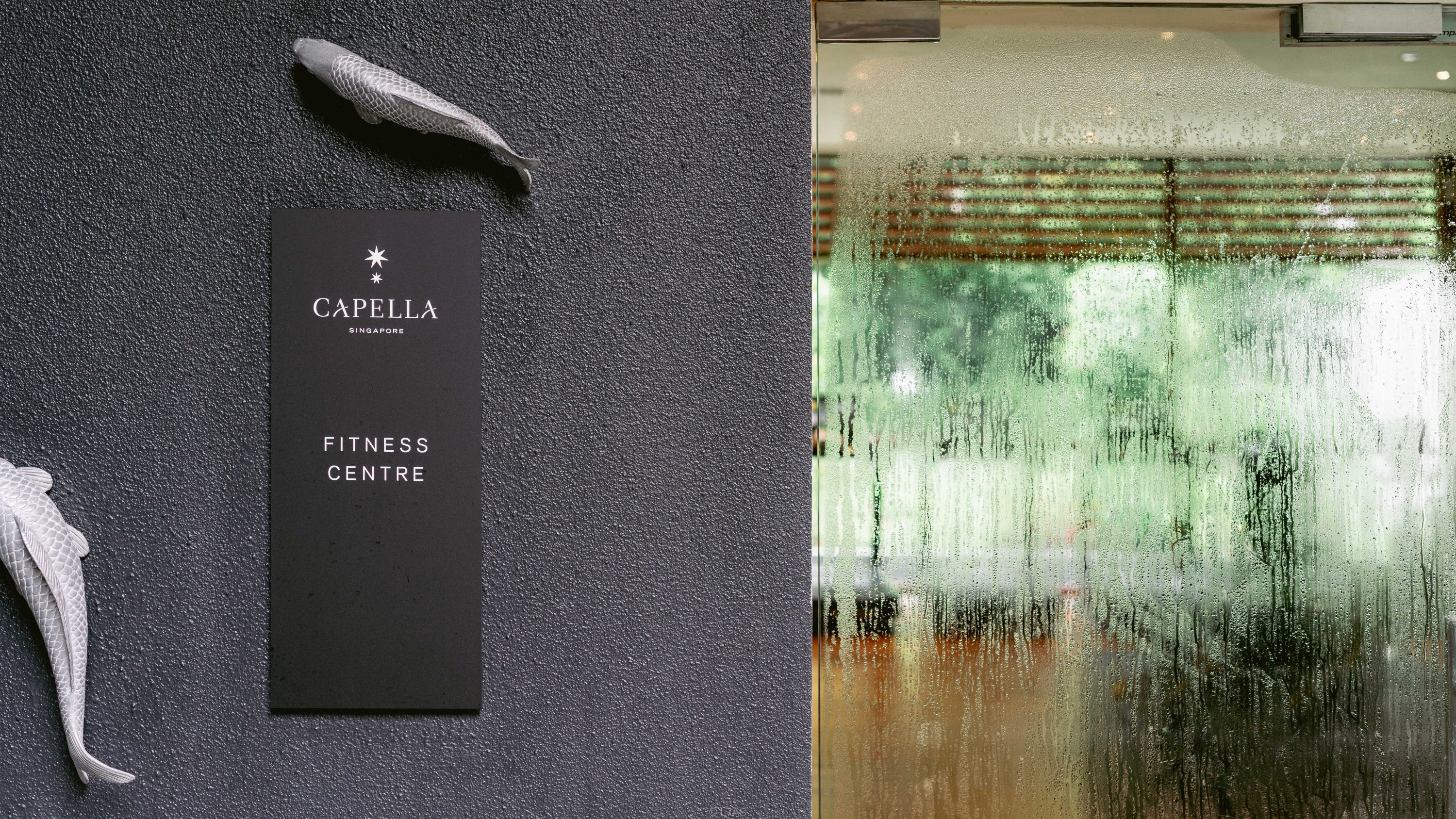 ¼ | Capella Singapore | ¼¼־Ƶ | ס