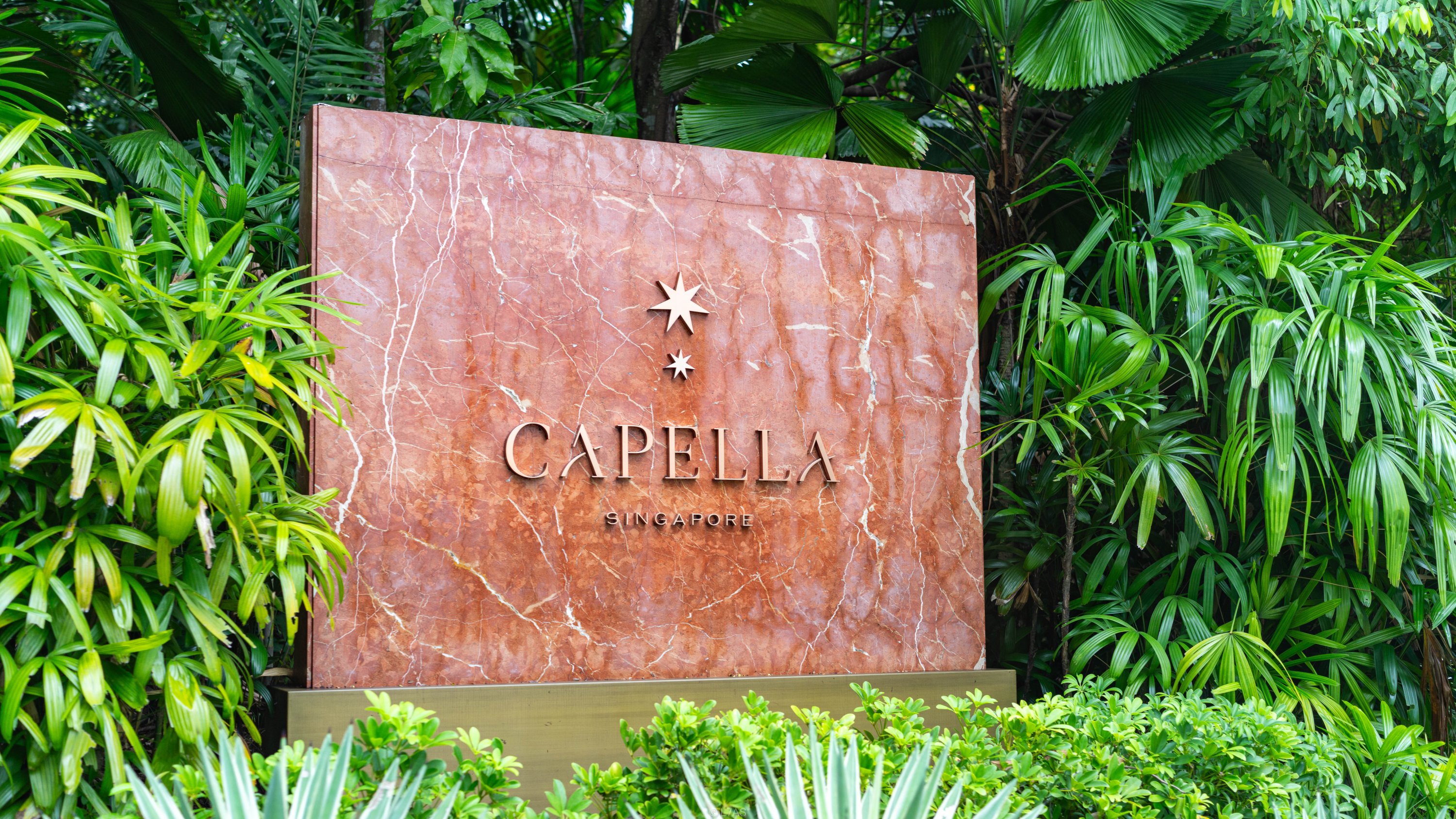 ¼ | Capella Singapore | ¼¼־Ƶ | ס