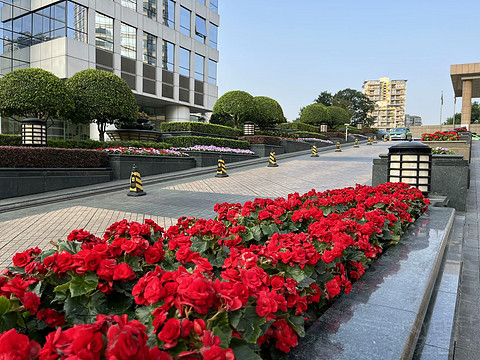 成都香格里拉·Shangri-La·豪华阁酒廊餐饮简报·尊荣套房【论坛首发】