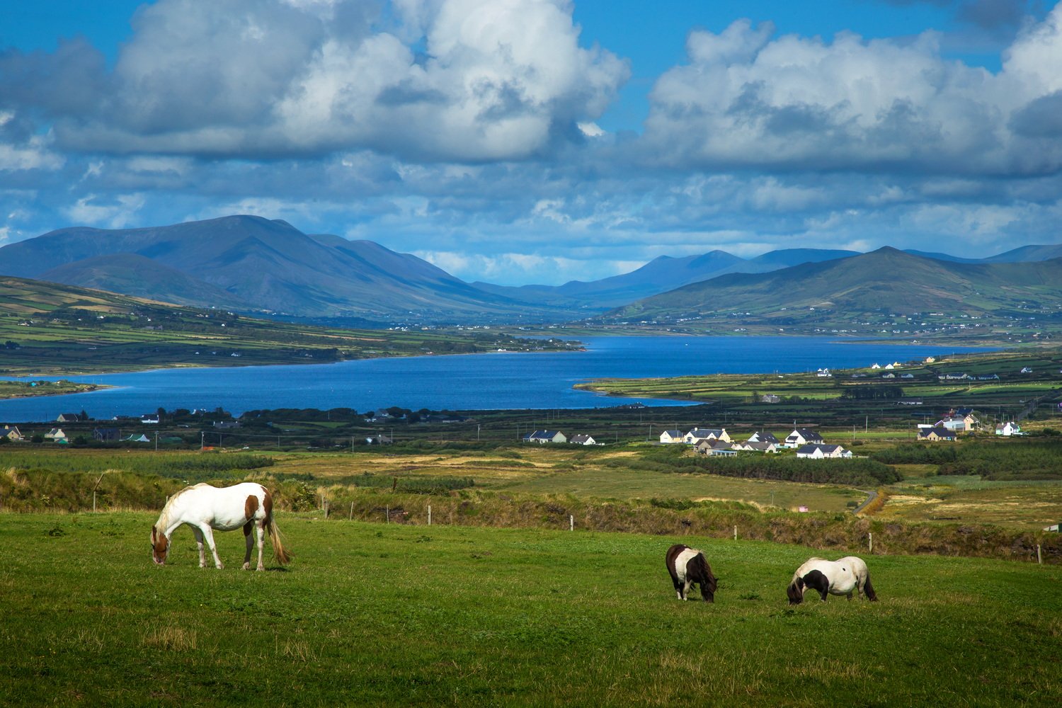 GalwayCastlehouse B&BKylemore޵ԺTully Donegal