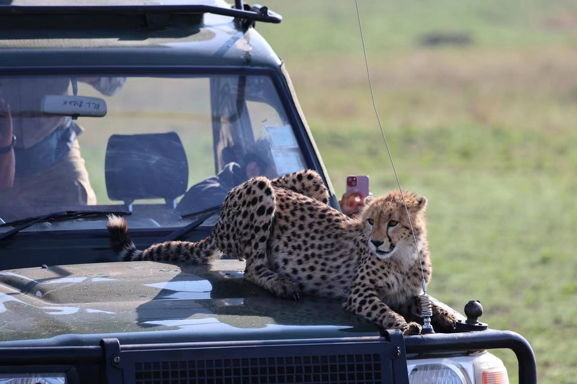 JW Masai Mara Ҫס