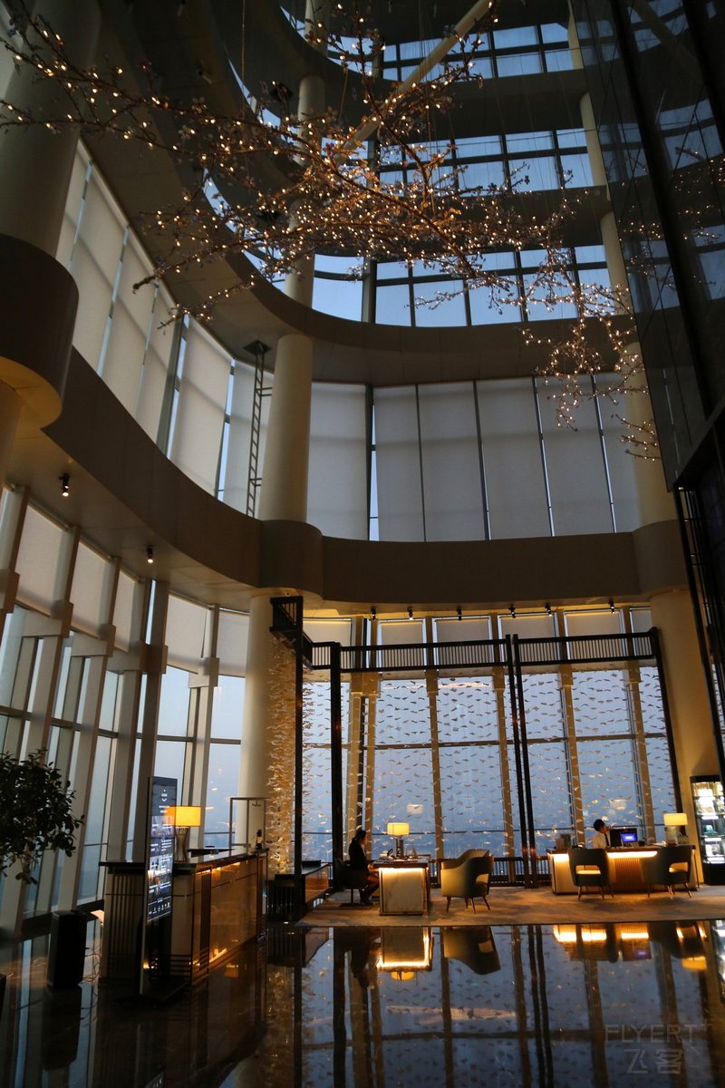 Nanning--Na Lotus a Luxury Collection Hotel Lobby (1).JPG