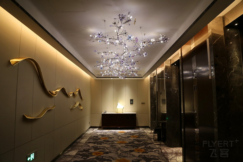 Nanning--Na Lotus a Luxury Collection Hotel Lobby (14).JPG