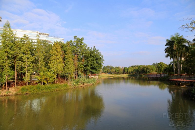 Zhaoqing--Sheraton Zhaoqing Hotel Exterior Wetland Park (1).JPG