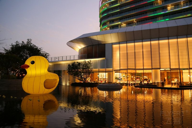 Zhaoqing--Sheraton Zhaoqing Hotel Exterior at Night (2).JPG