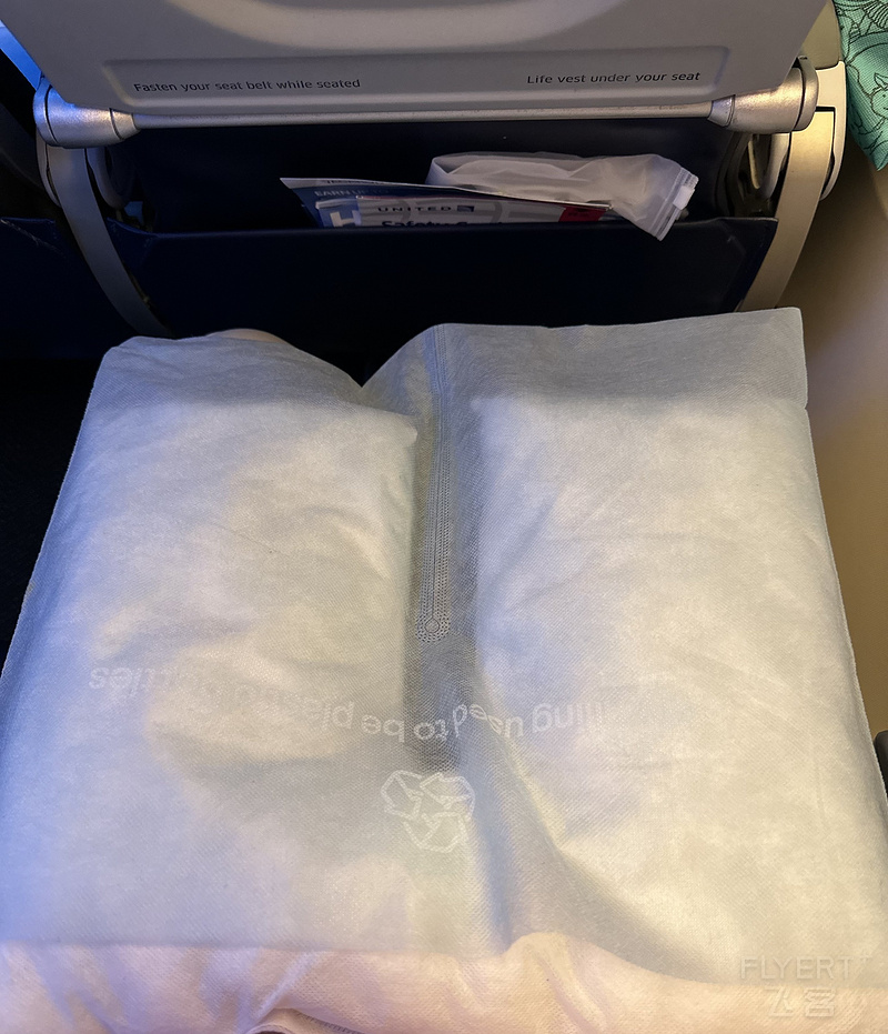 UA 878 PILLOW.jpeg