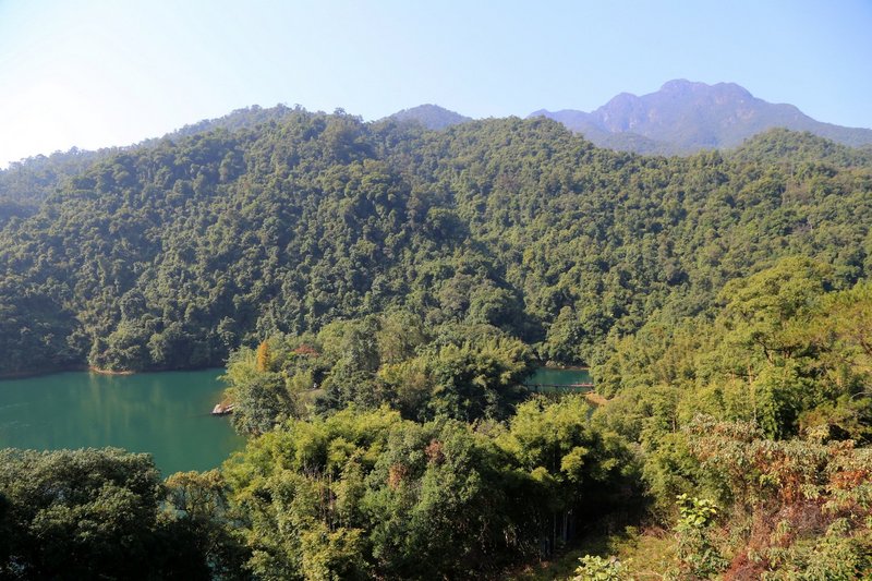 Zhaoqing--鼎湖