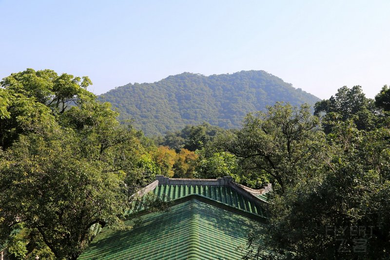 Zhaoqing--鼎湖