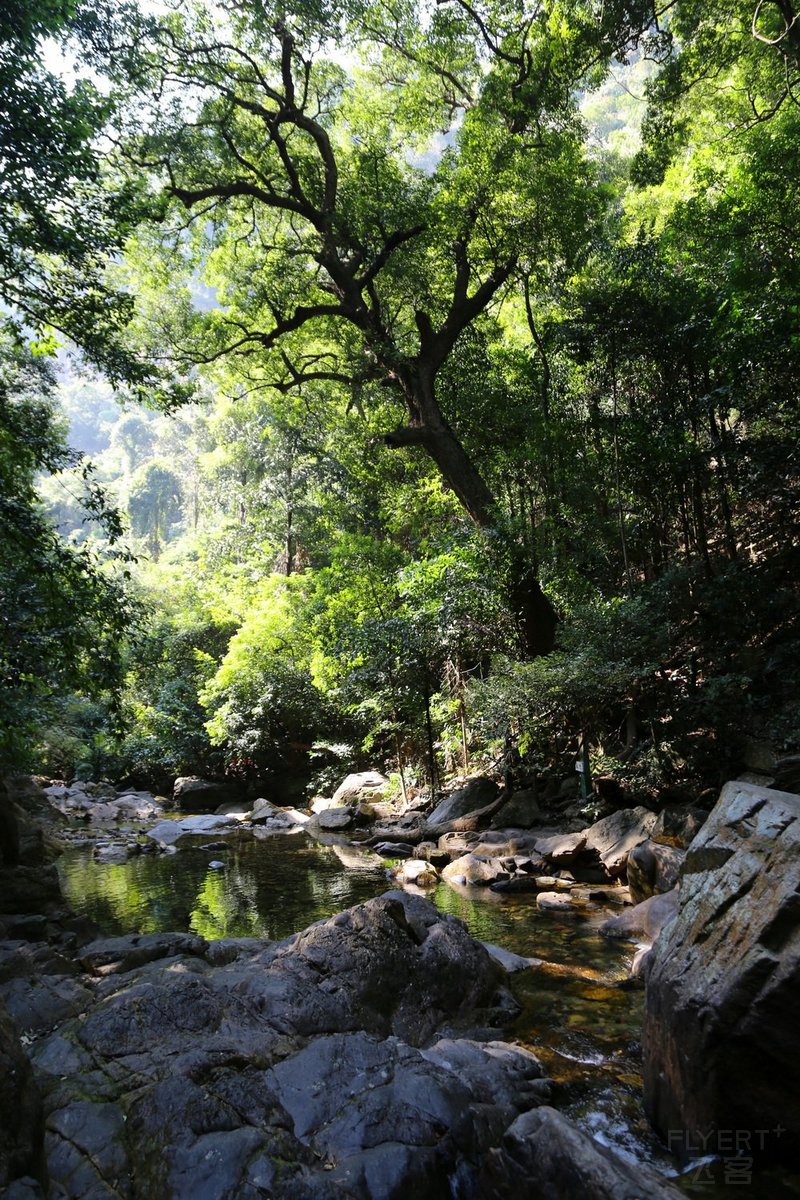 Zhaoqing--鼎湖