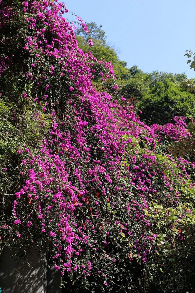 Zhaoqing--鼎湖