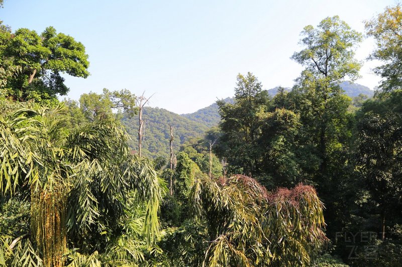 Zhaoqing--鼎湖