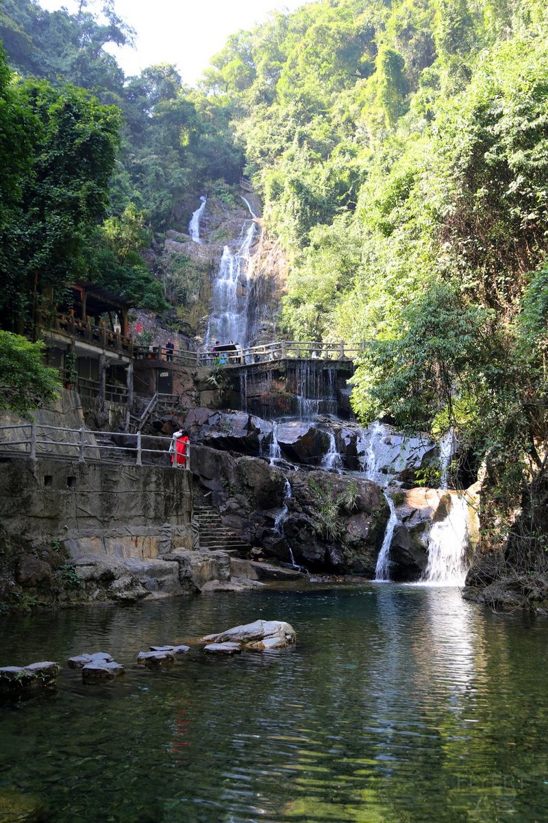 Zhaoqing--鼎湖