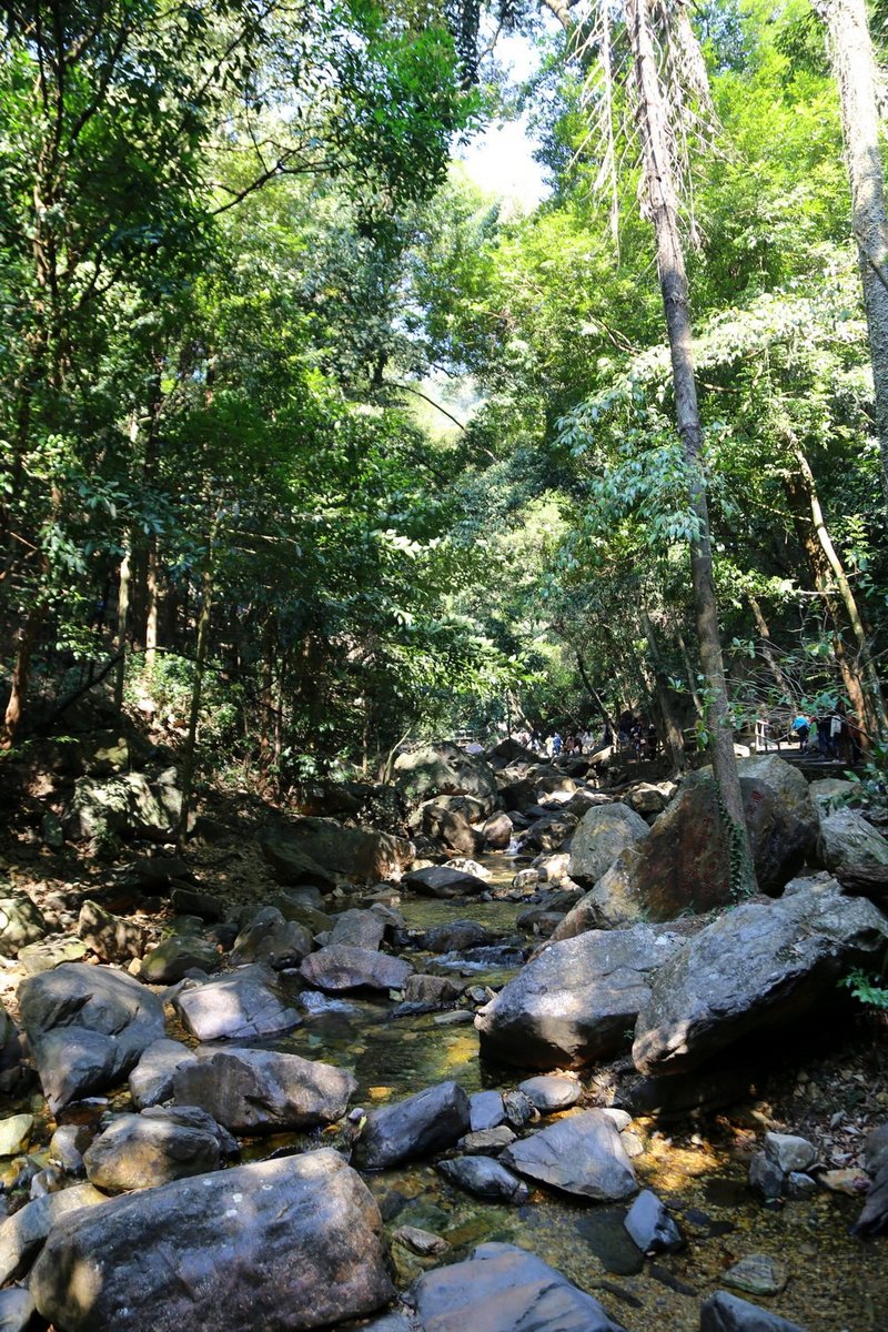 Zhaoqing--鼎湖