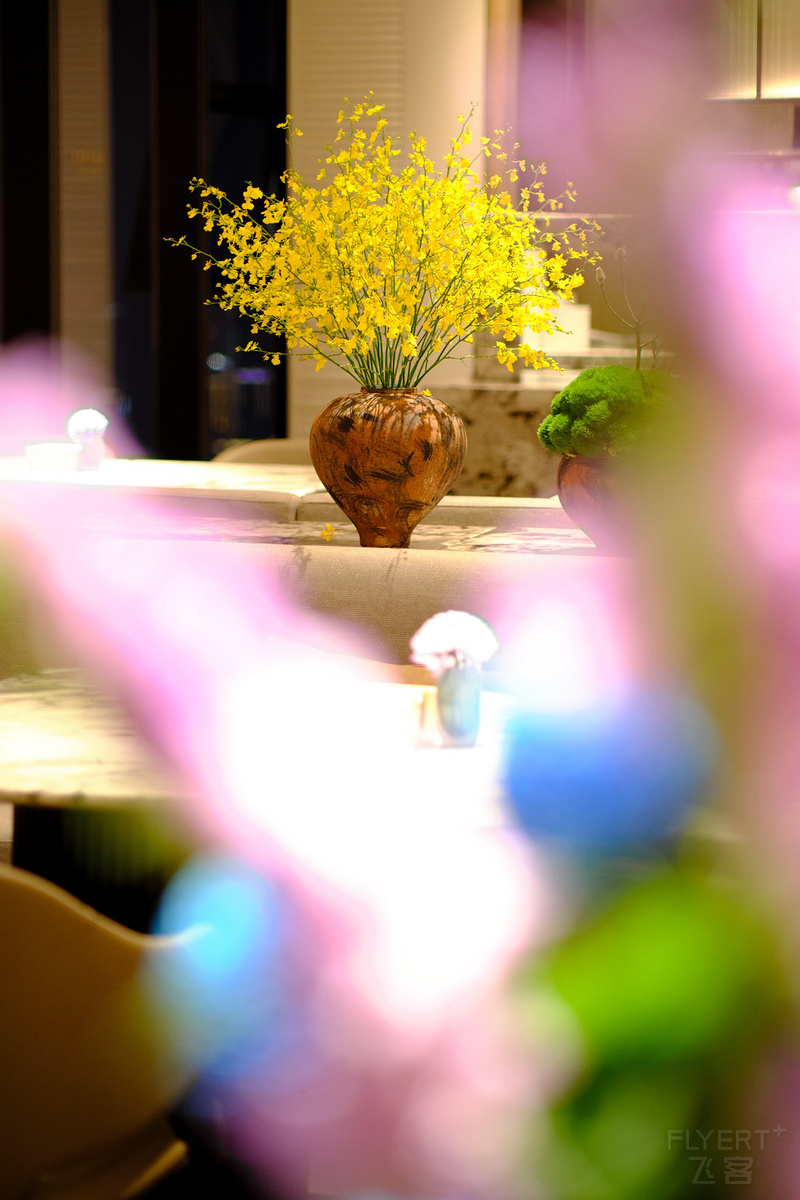 DSCF0152.JPG