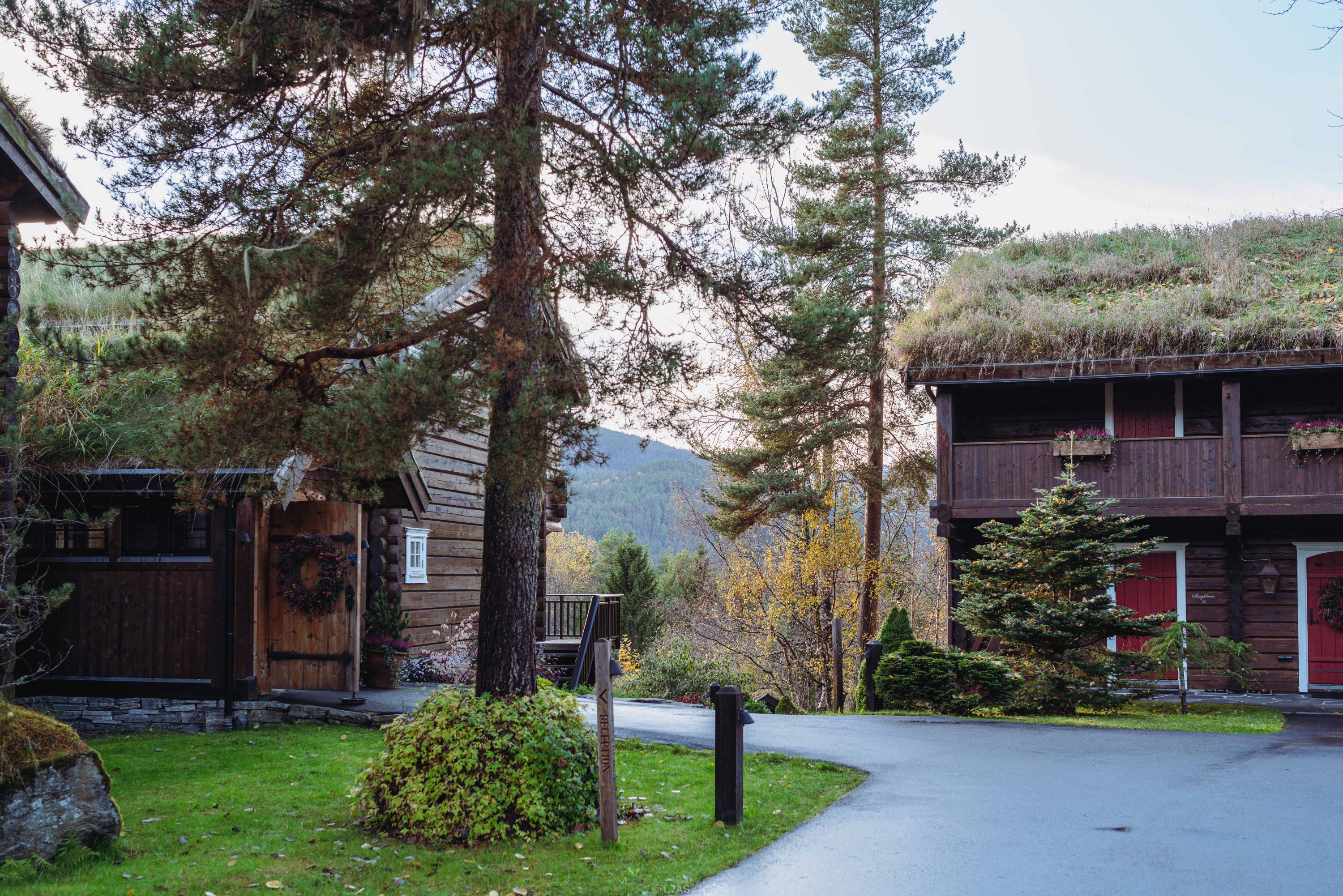 Ų  | Ķ | Storfjord Hotel | ϿƵ | ס