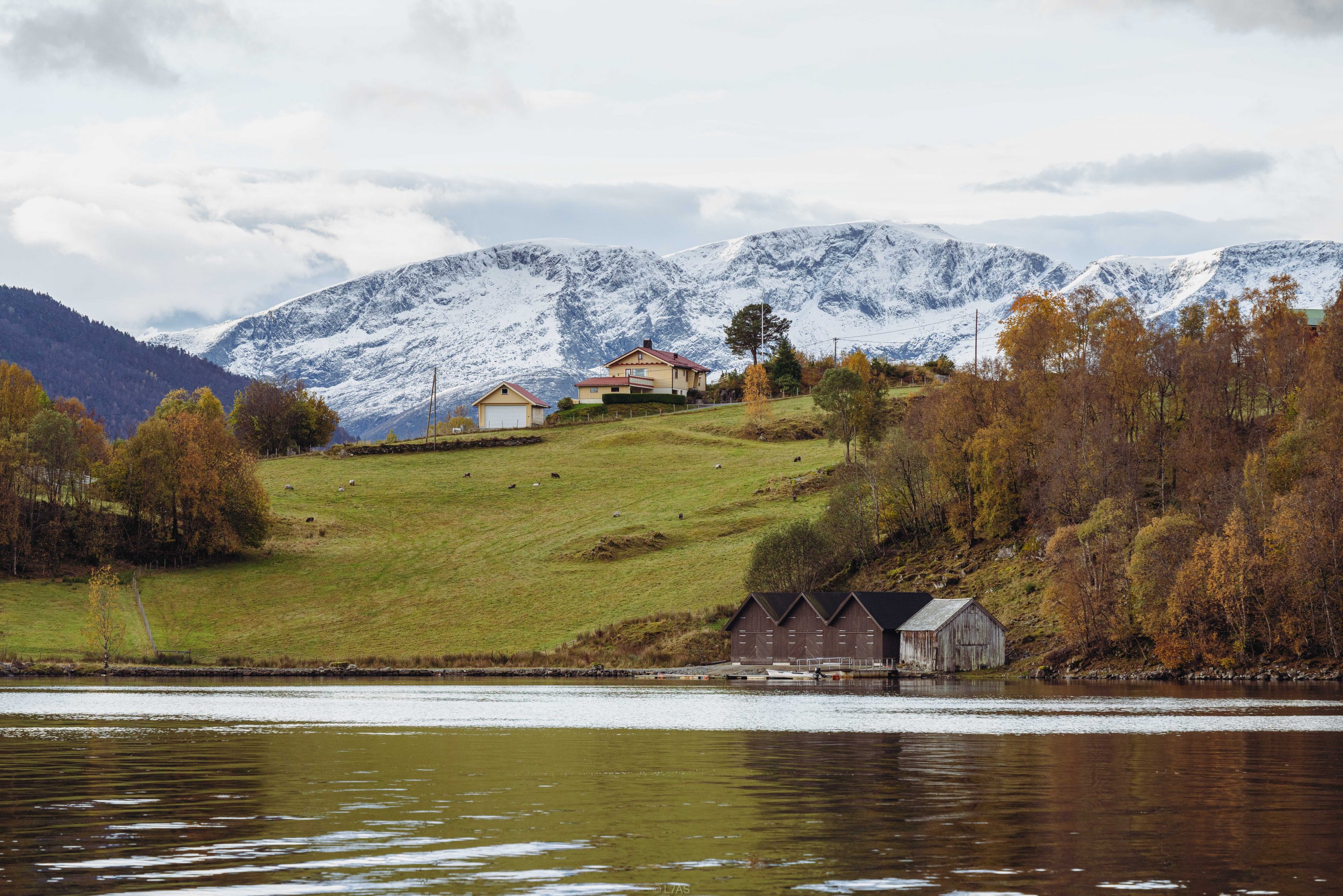 Ų  | Ķ | Storfjord Hotel | ϿƵ | ס
