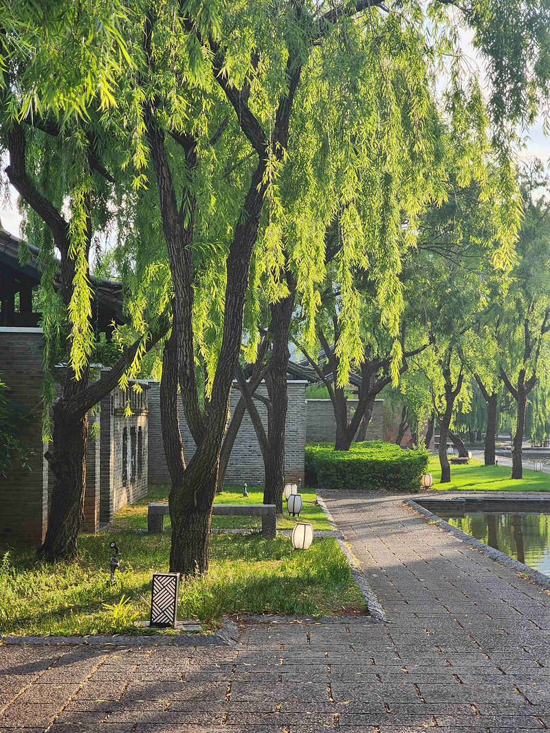 225416G0oSBMEsxesSlOFb.jpg