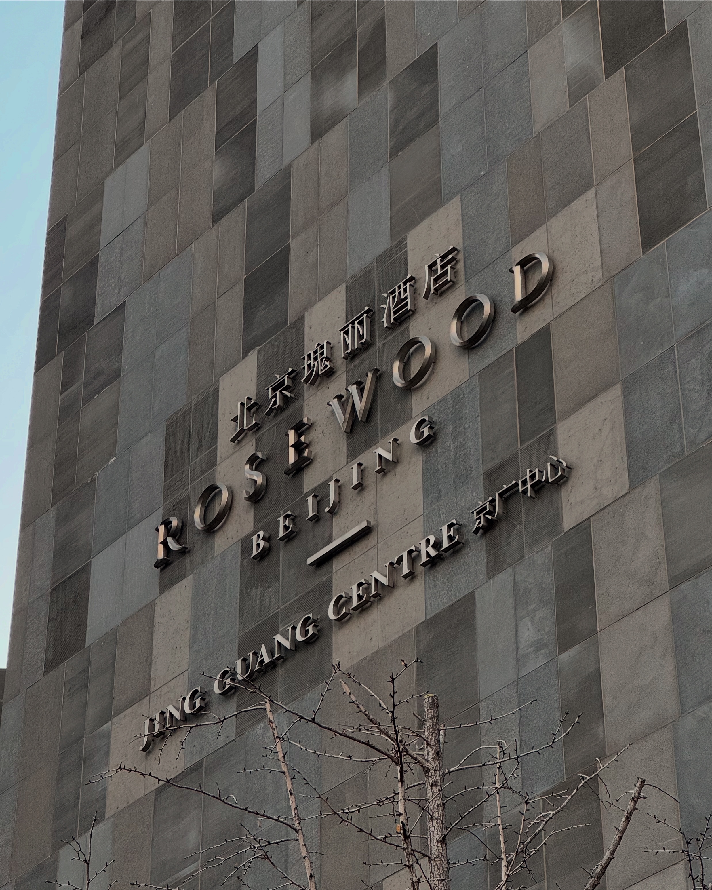 ROSEWOODƵʱõ 🌹
