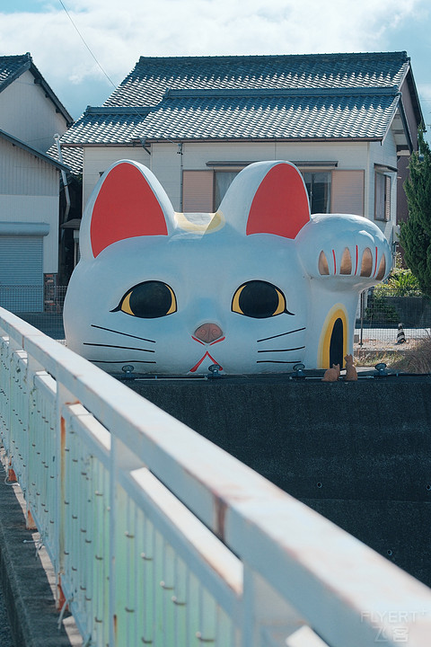 名古屋中部机场福朋喜来登酒店入住报告—“腔调和景观并存的机场酒店”