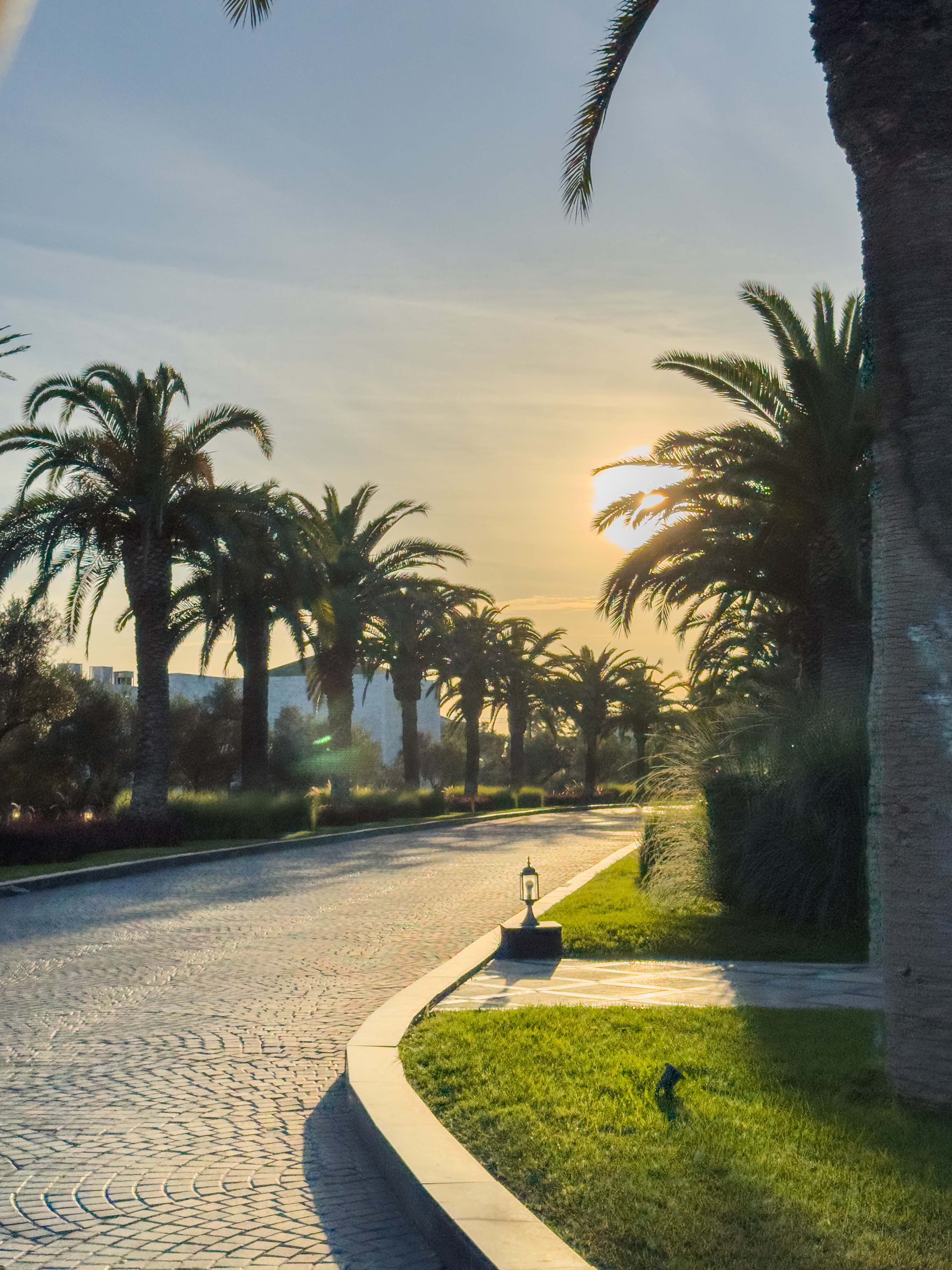 ׷Ħ˼, ˹ķ The Ritz-Carlton Rabat, Dar Es Salam