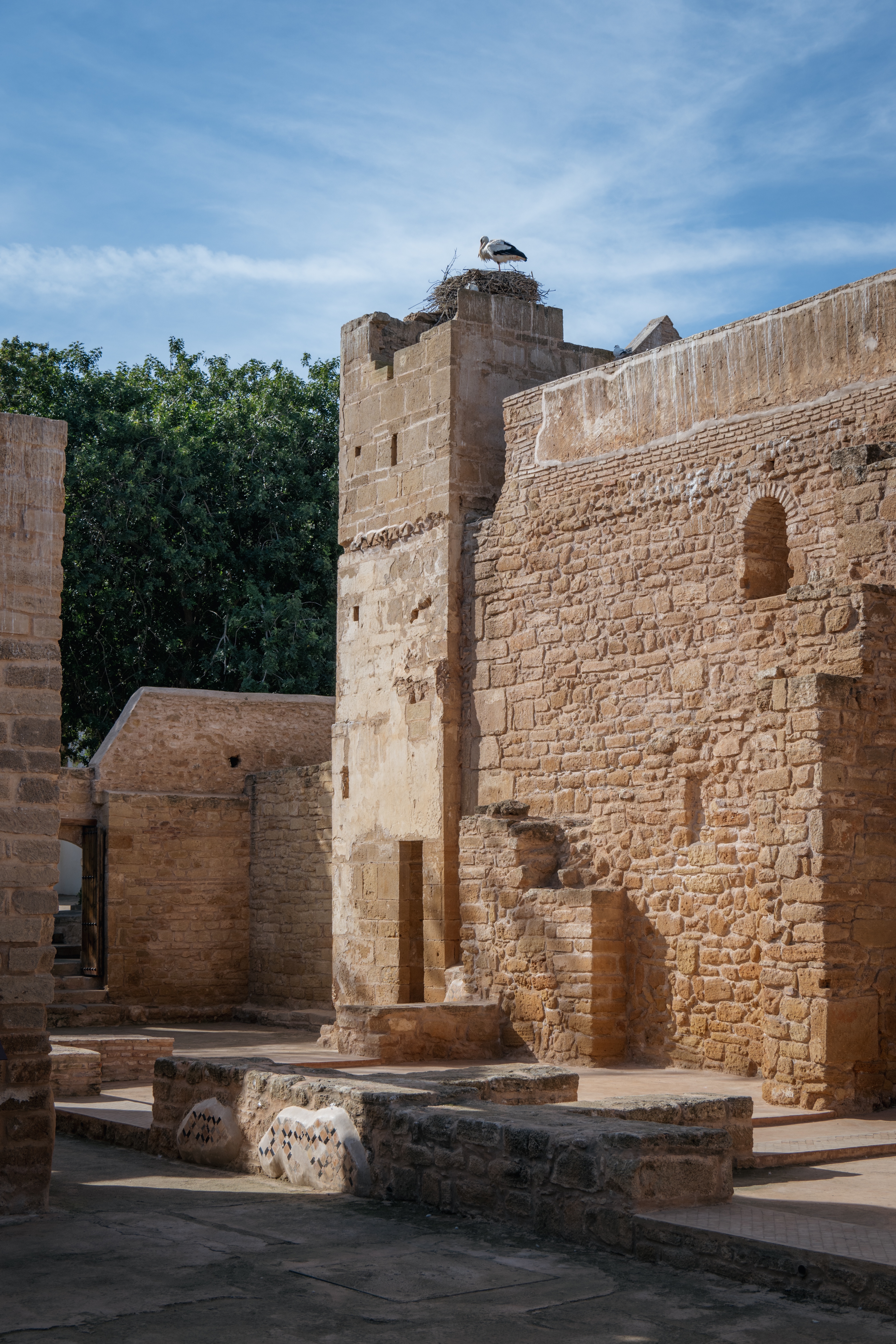 ׷Ħ˼, ˹ķ The Ritz-Carlton Rabat, Dar Es Salam