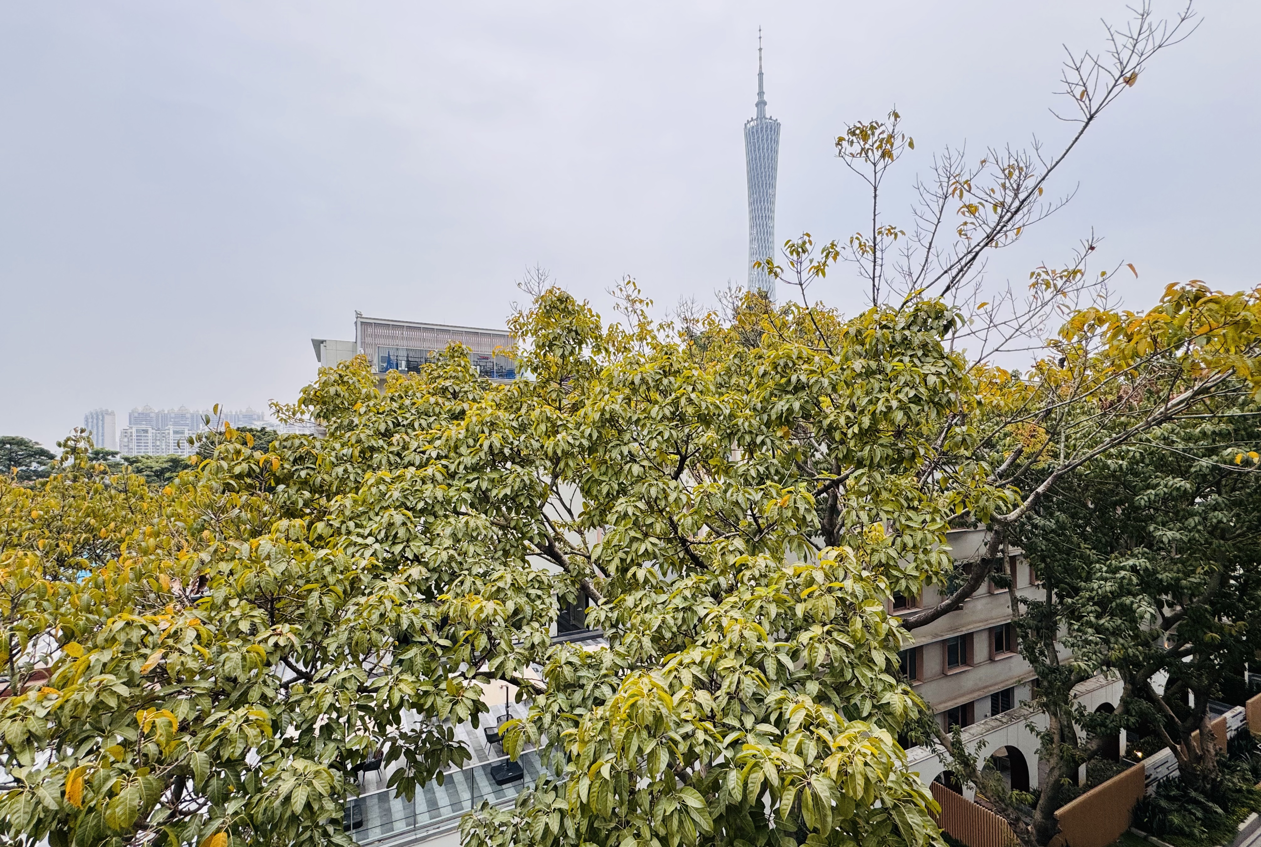 2025˳|ݺɳӢϸƵ(Hotel Indigo Guangzhou Haixinsha)
