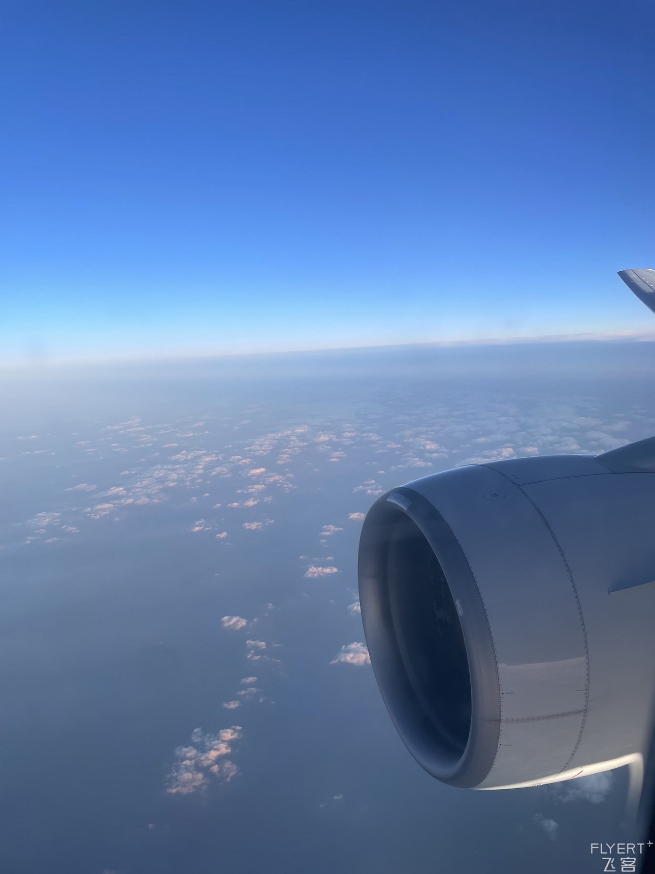 ȫ׷»ͣɽ-׶ʴ OZ360 B777-200ER