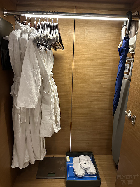 烟雨朦胧严西湖——武汉光谷希尔顿酒店